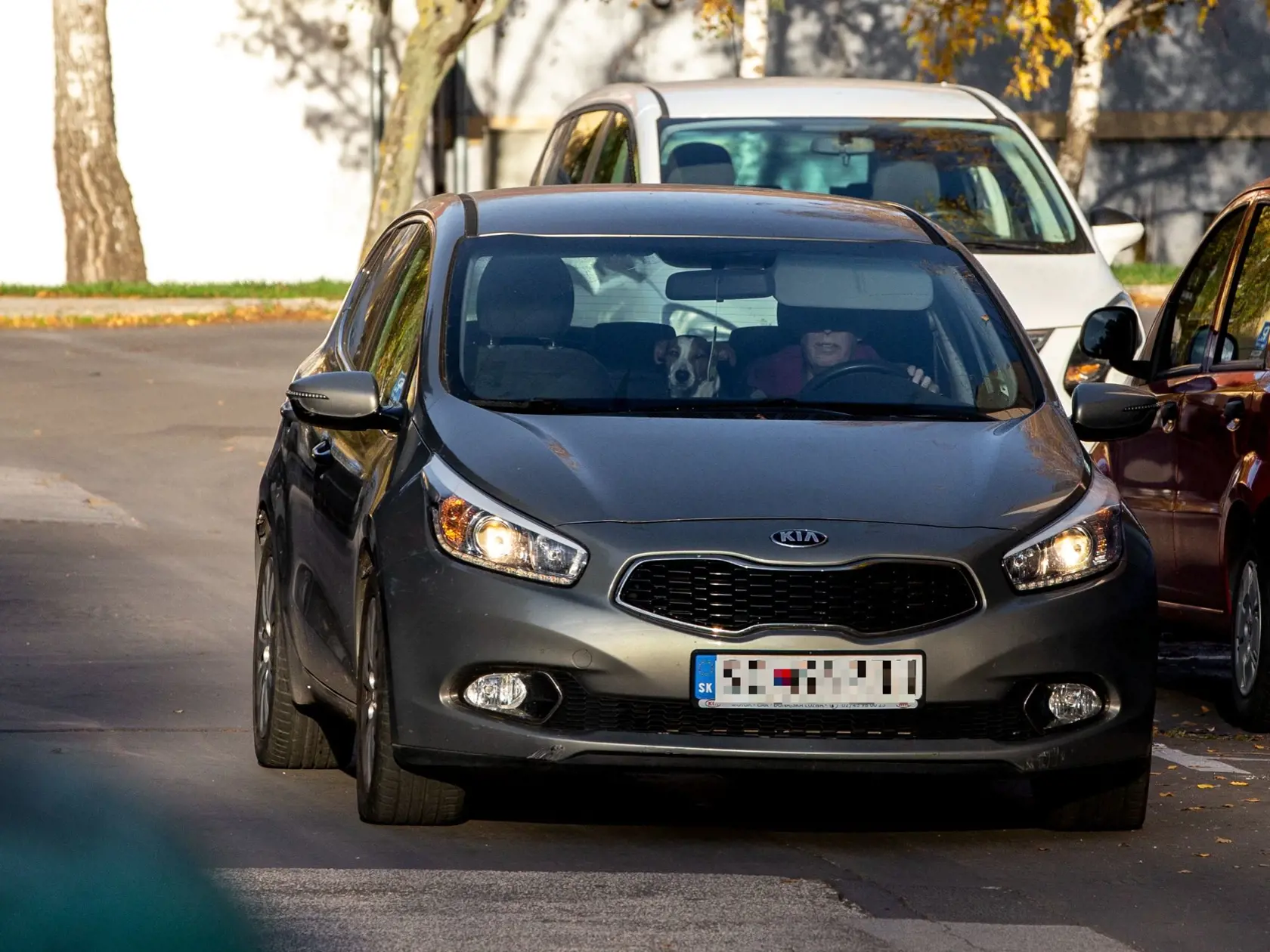 Auto mal zaparkované na ulici medzi ostatnými odstavenými vozidlami.