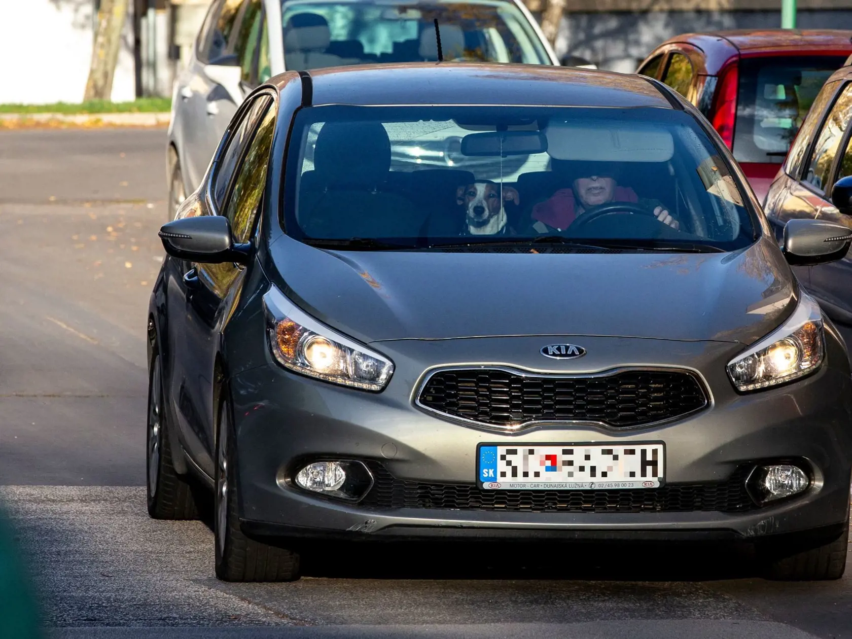 Potom, keď sa prešiel so psom, nasadol do auta a odfrčal.