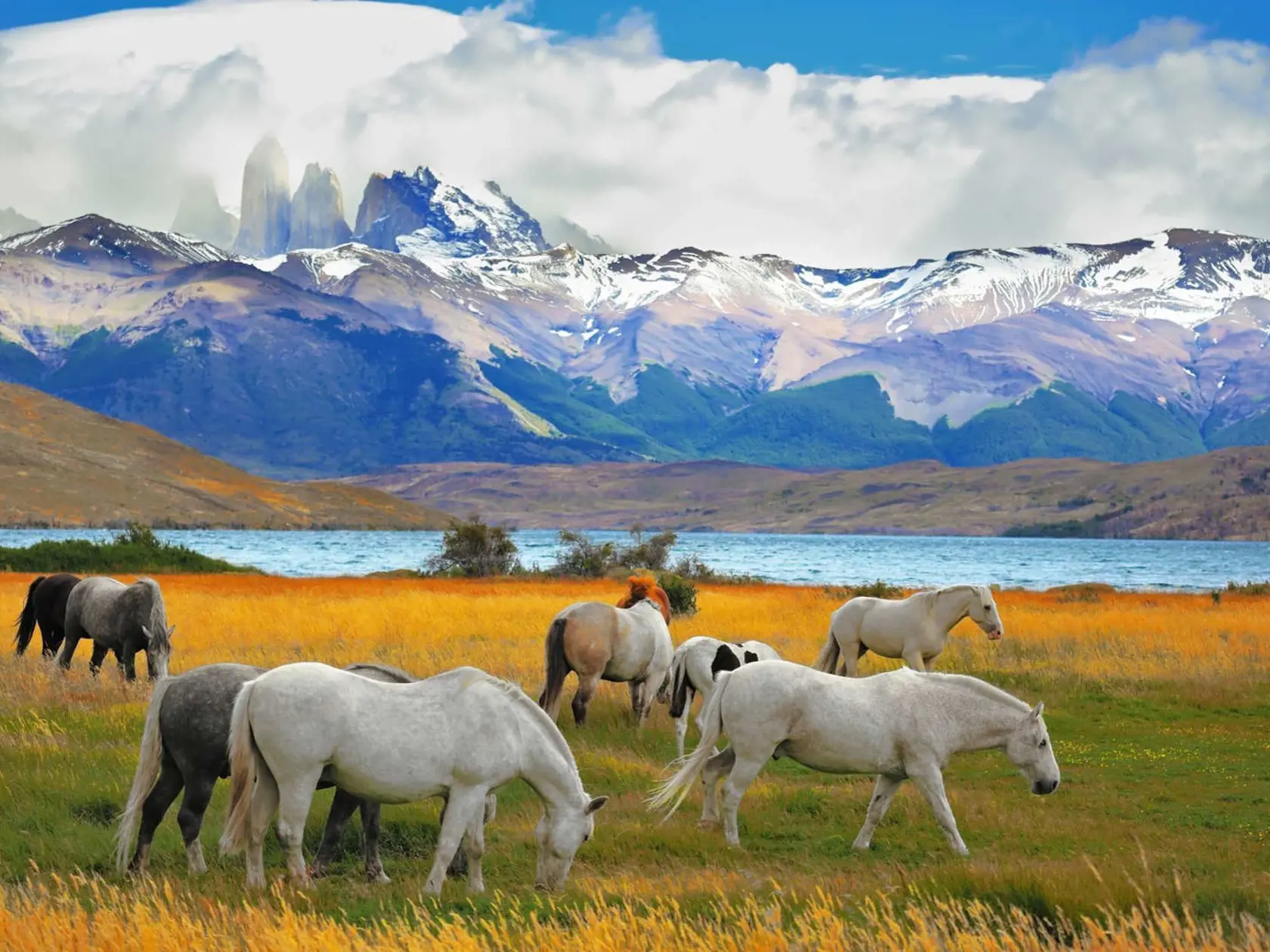 Torres del Paine, Čile.