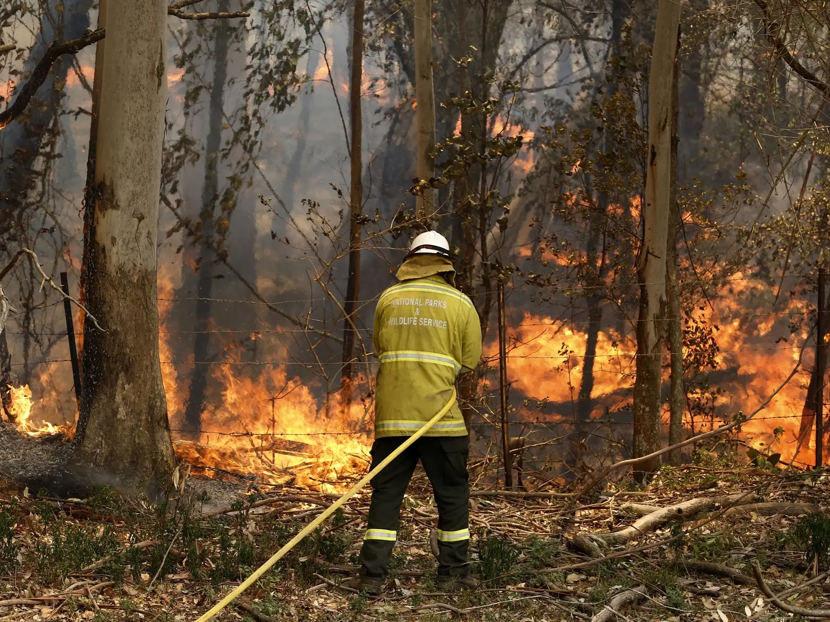 KK41 Koorainghat - Na snímke hasenie lesného požiaru v Koorainghate v austrálskom štáte Nový Južný Wales (NSW) 12. novembra 2019. Austrálsky štát Nový Južný Wales (NSW), kde sa nachádza aj najľudnatejšie mesto krajiny Sydney, vyhlásil v pondelok v súvislosti s očakávanými katastrofickými požiarnymi stav núdze, ktorý bude platiť sedem dní. FOTO TASR/AP 

A National Parks and Wildlife crew member fights flames at Half Chain road at Koorainghat, near Taree in New South Wales state Tuesday, Nov. 12,