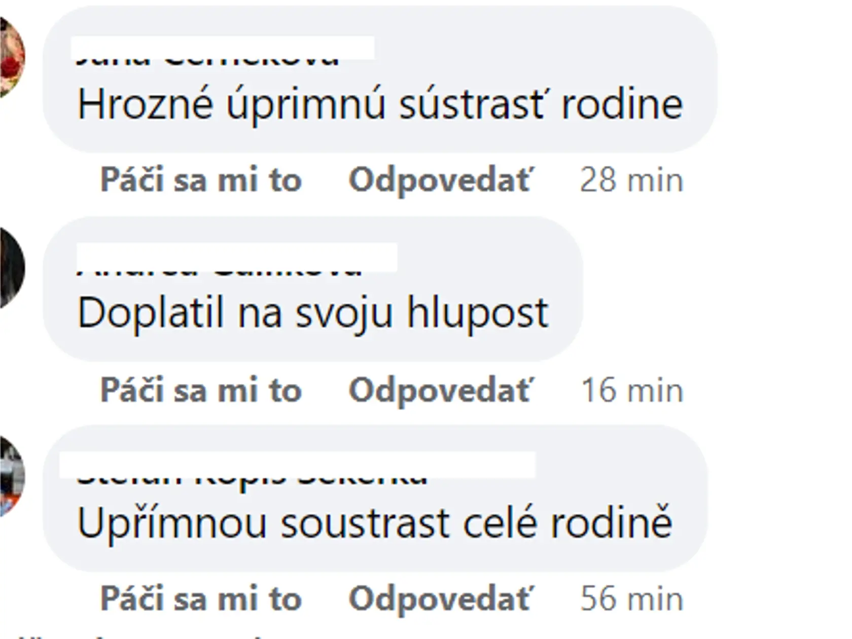 Tragickú nehodu neďaleko vodného diela Gabčíkovo neprežil 34-ročný muž