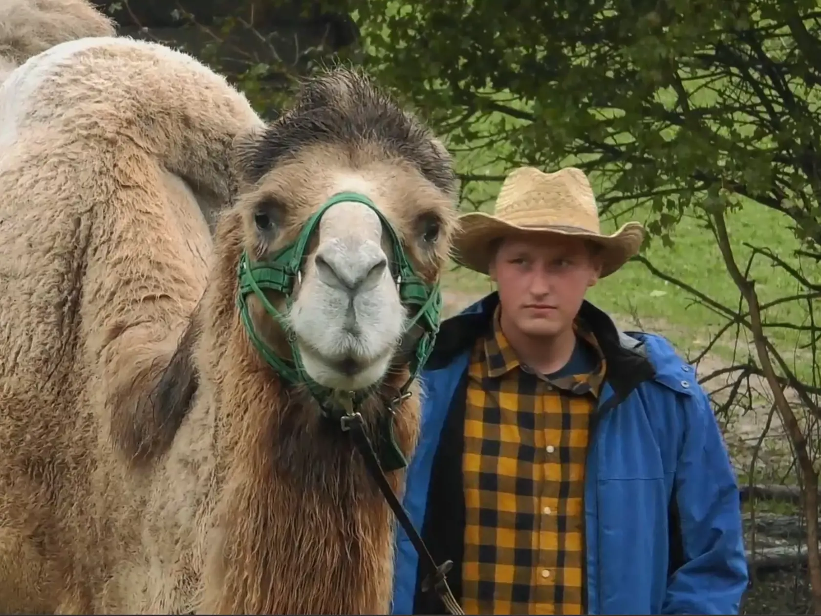 Martin Bagar priniesol farmárom na statok ťavu.