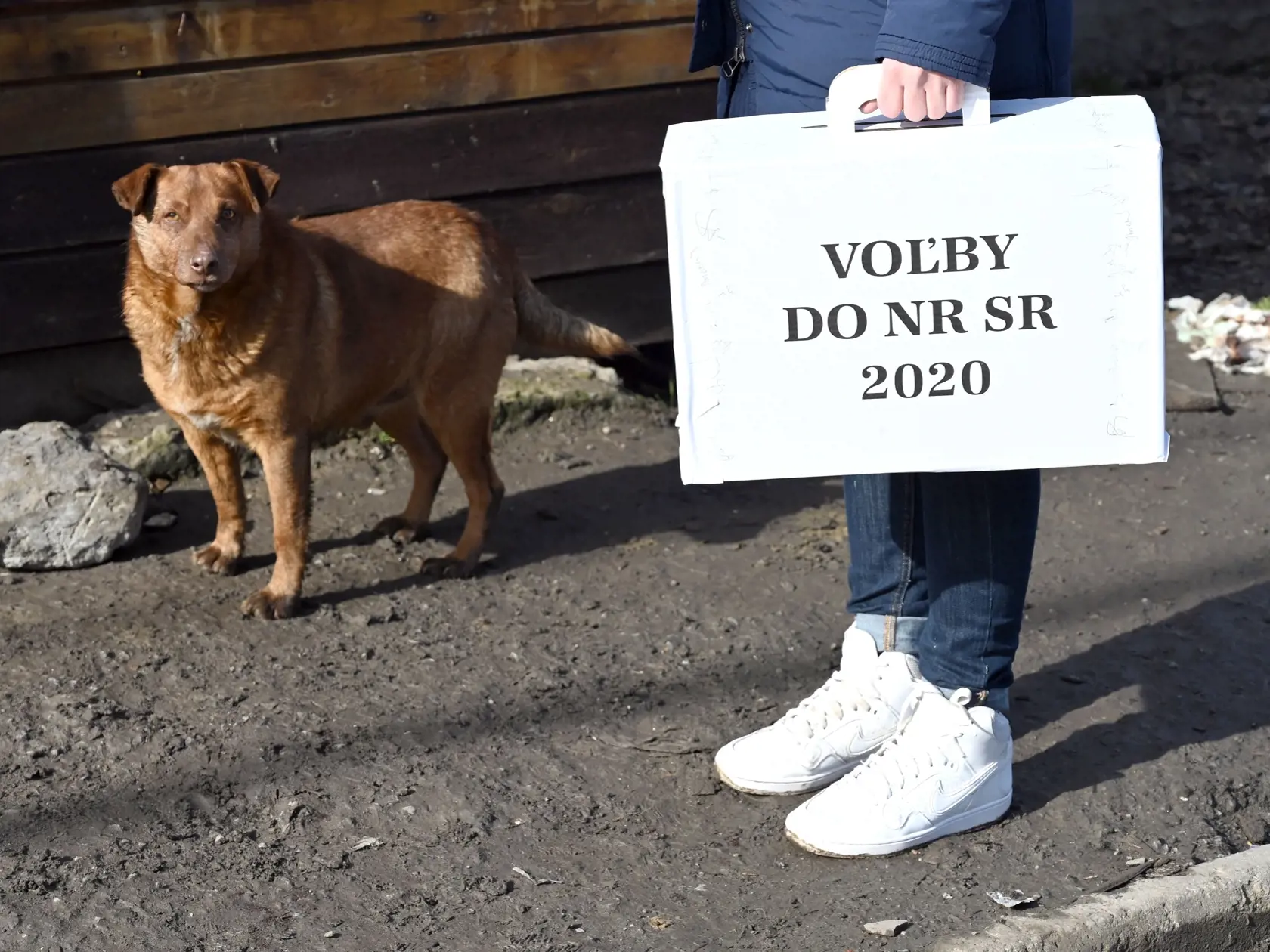 Na snímke členka okrskovej volebnej komisie s prenosnou volebnou schránkou vo voľbách do Národnej rady Slovenskej republiky v rómskej osade v Trebišove 29. februára 2020. FOTO TASR - Roman Hanc
