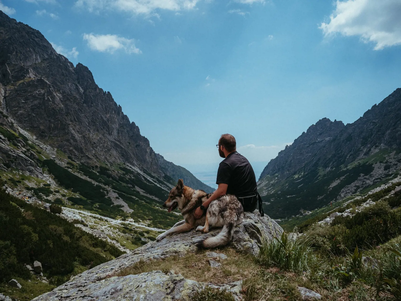 Iniciátorka petície zdôrazňuje, že takýto zákaz podporuje ľudí v ignorácii nariadení a tvorí zbytočné nenávistné protipóly v spoločnosti. Tatry navyše môžu prísť o turistov. Viacerí majitelia psíkov nepôjdu na miesto, kam nemôže ísť aj člen ich rodiny, radšej si vyberú inú destináciu.
