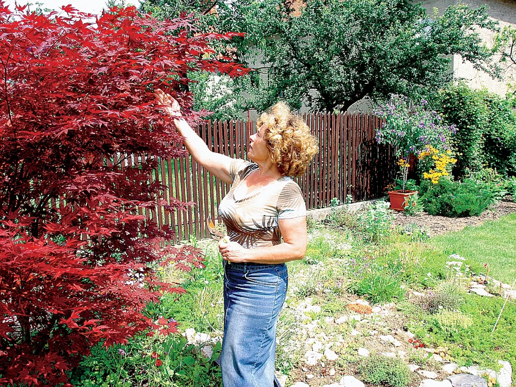Eva Večerová