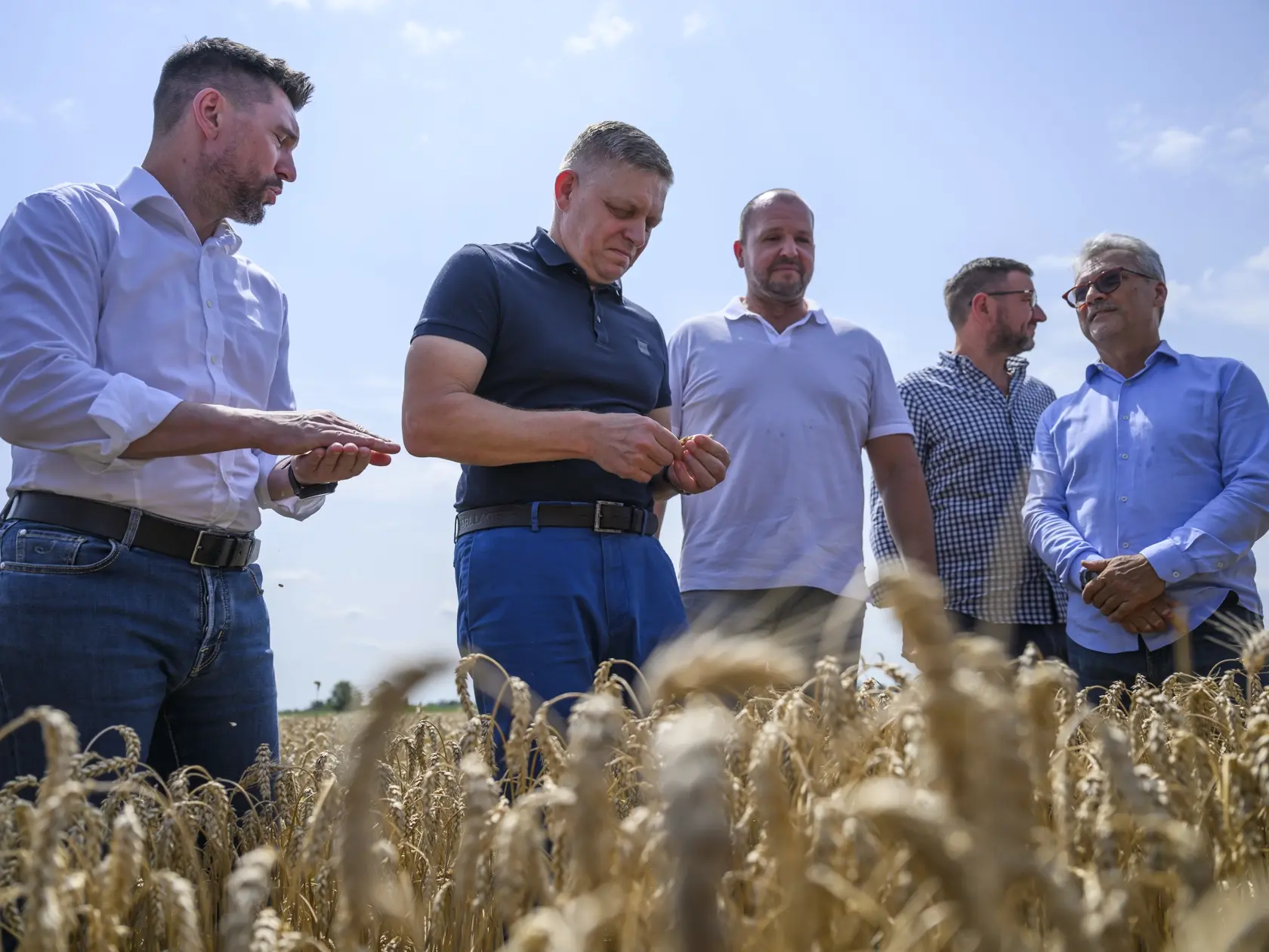 Na snímke zľava minister pôdohospodárstva a rozvoja vidieka SR Richard Takáč (Smer-SD), predseda vlády SR Robert Fico (Smer-SD), predseda Slovenskej poľnohospodárskej a potravinárskej komory (SPPK) Andrej Gajdoš a podpredseda SPPK Emil Macho pózujú v žite počas  žatvy na poľnohospodárskom družstve Agro Voderady v obci Slovenská Nová Ves v okrese Trnava v pondelok 8. júla 2024. FOTO TASR - Jaroslav Novák
