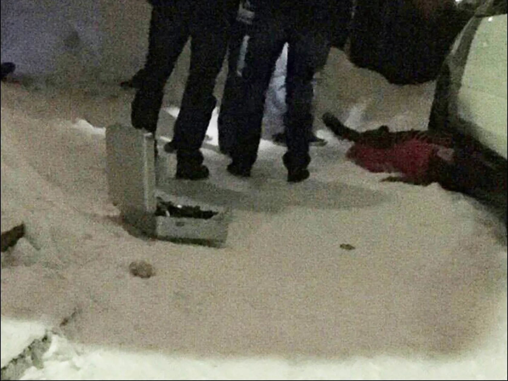 Julia a Veronika skočili zo 14. poschodia.