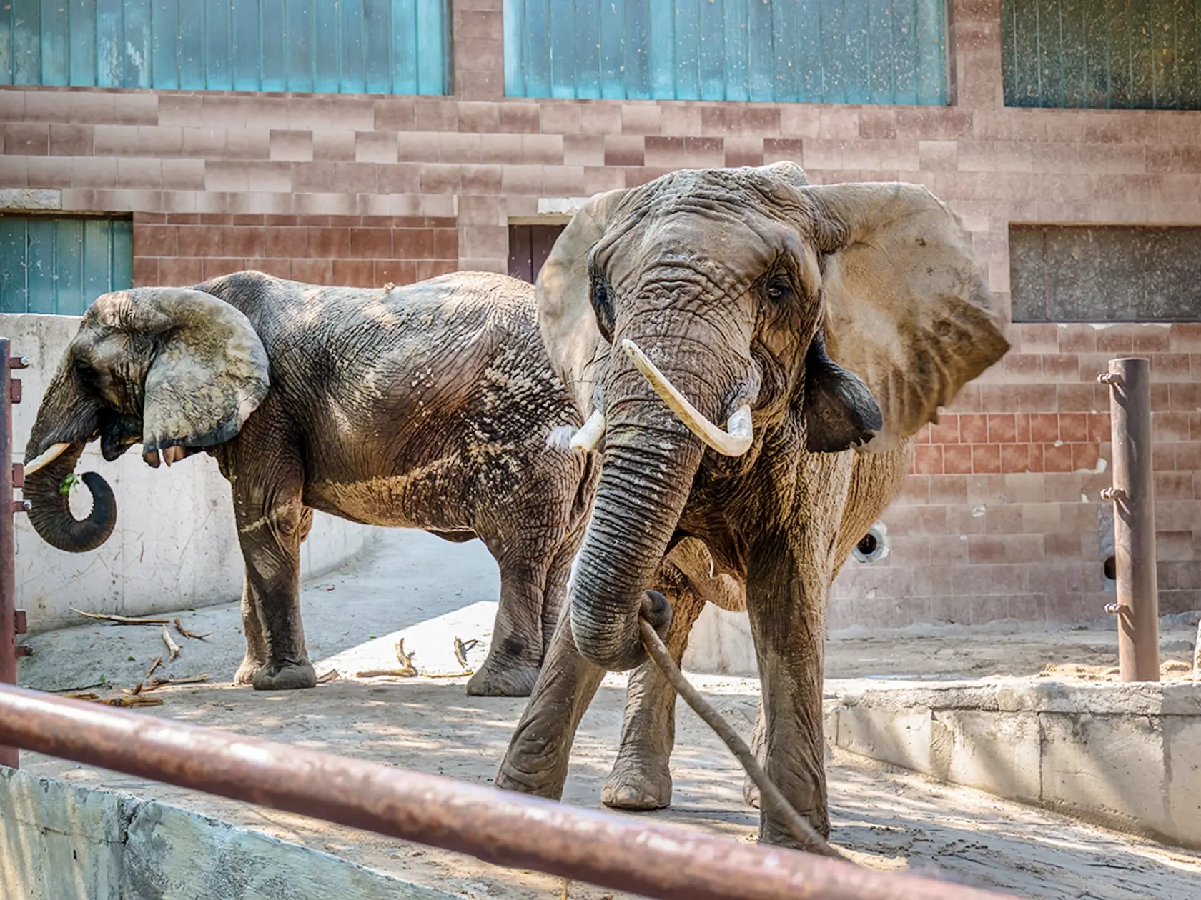 Zoo má aj zážitkové programy