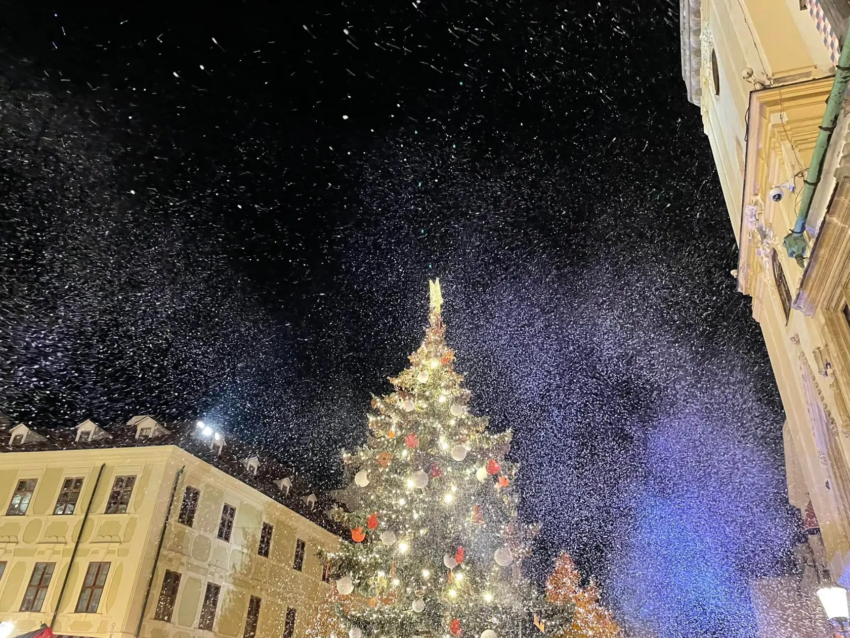 Po 40 minútach sa takto krásne rozsvietil tohtoročný stromček! Bratislavčanom sa oplatilo čakať!