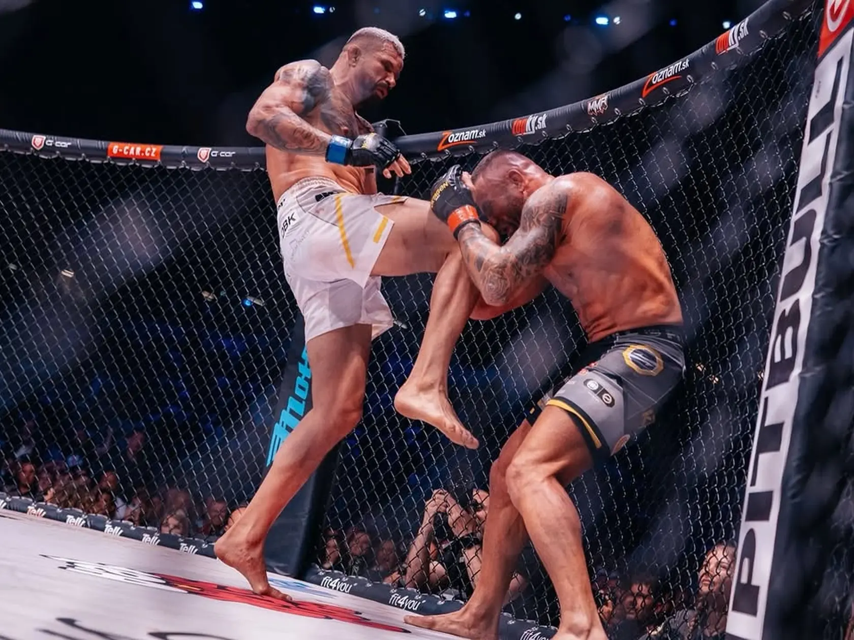 Slovenský bojovník Attila Végh prehral v očakávanom pražskom súboji legiend MMA s českým rivalom Karlosom Vémolom na body