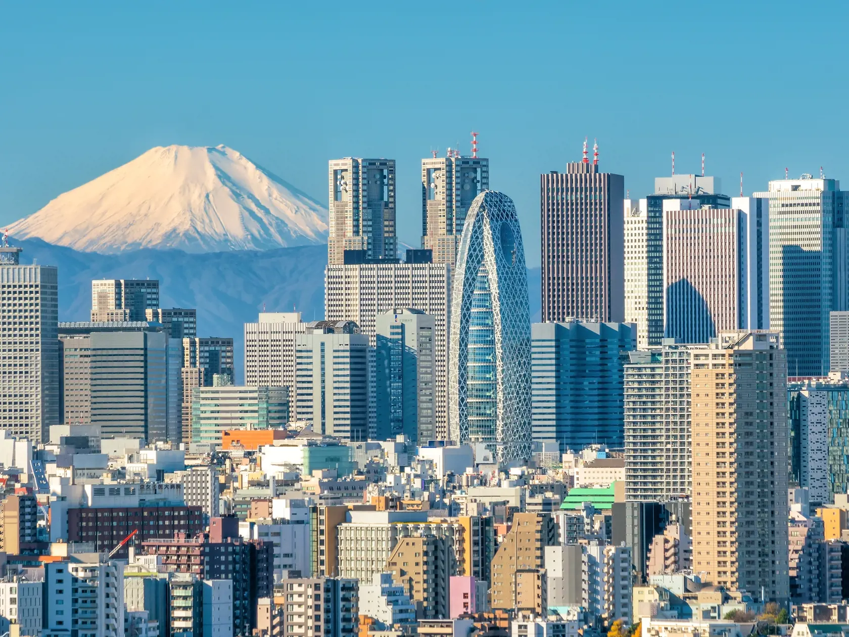 Tokyo,Skyline,And,Mountain,Fuji,In,Japan