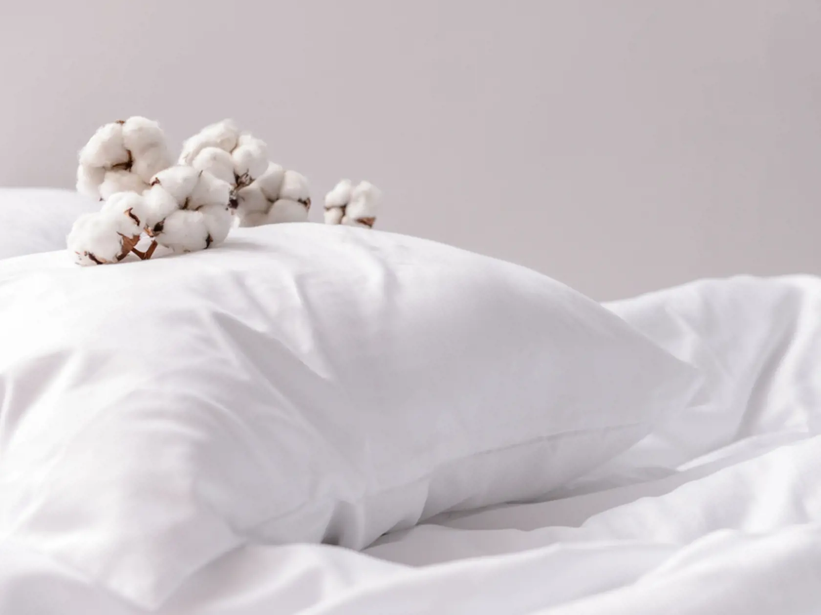Branch,With,Cotton,Flowers,On,Pillow