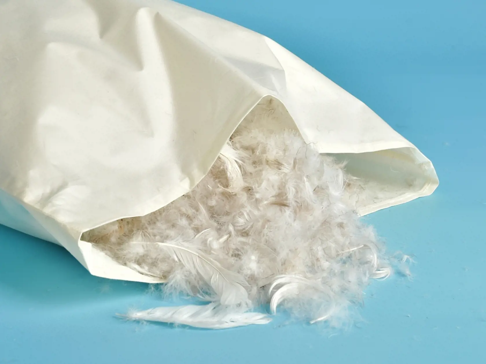 Pillow,Made,Of,Natural,Feathers.,The,Pillow,Is,Stuffed,With