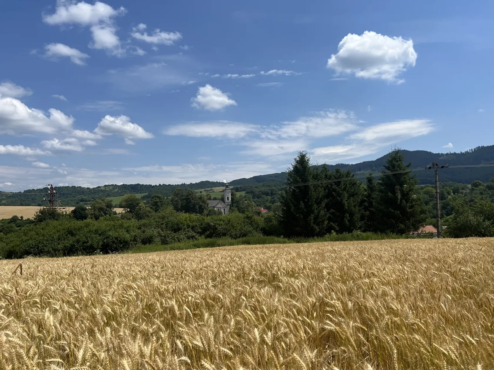 Ďalej prehľadávali obec Môlča i lokalitu Drienok v Ponikách, ktorá sa nachádza len kúsok za ich domom. Práve tam nezvestný Mário chodieval už odmalička a túto oblasť preto dobre poznal.