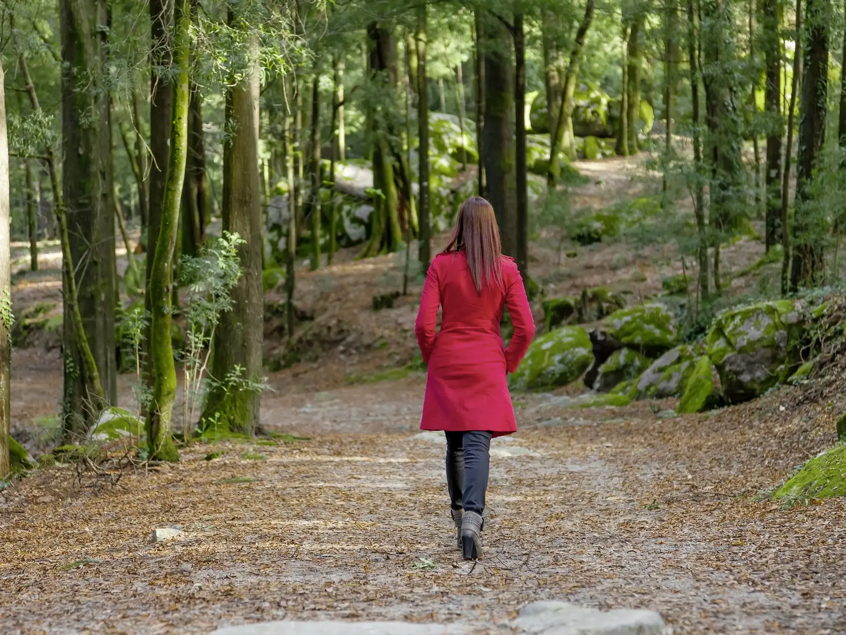 Young woman walking away alone on a forest path wearing a red overcoat
