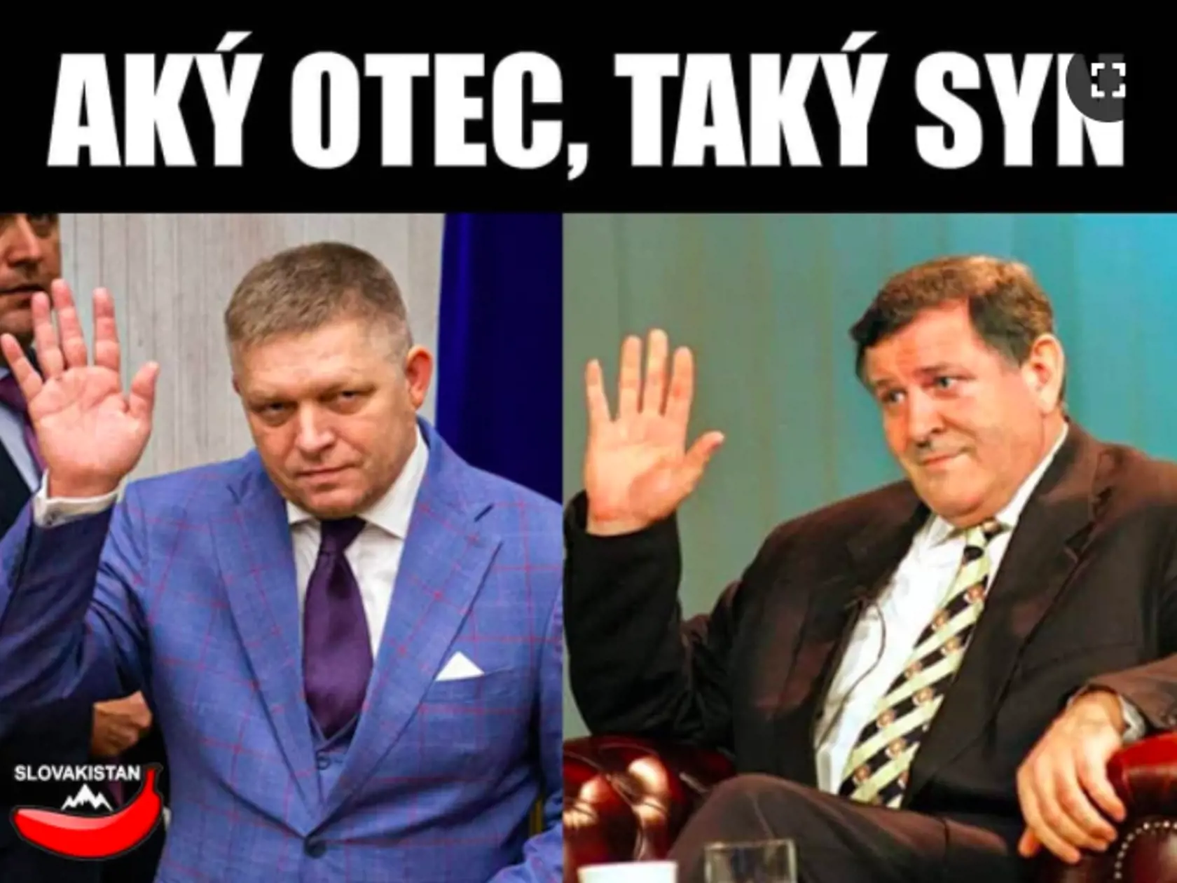 Vladimír Mečiar v televízii TA3 dňa 7. marca 2017 na otázku, či bola za únosom SIS, odpovedal: „Mohol niekto v SIS-ke o tom vedieť, ale nebola to Slovenská informačná služba”. Mečiar podozrieva vtedajšieho námestníka SIS Svěchotu, ktorého vraj „z celej duše nenávidel“. Podľa neho boli amnestie vydané „v snahe vyriešiť politické a kriminálne problémy, ktoré „zasvinili Slovensko“.