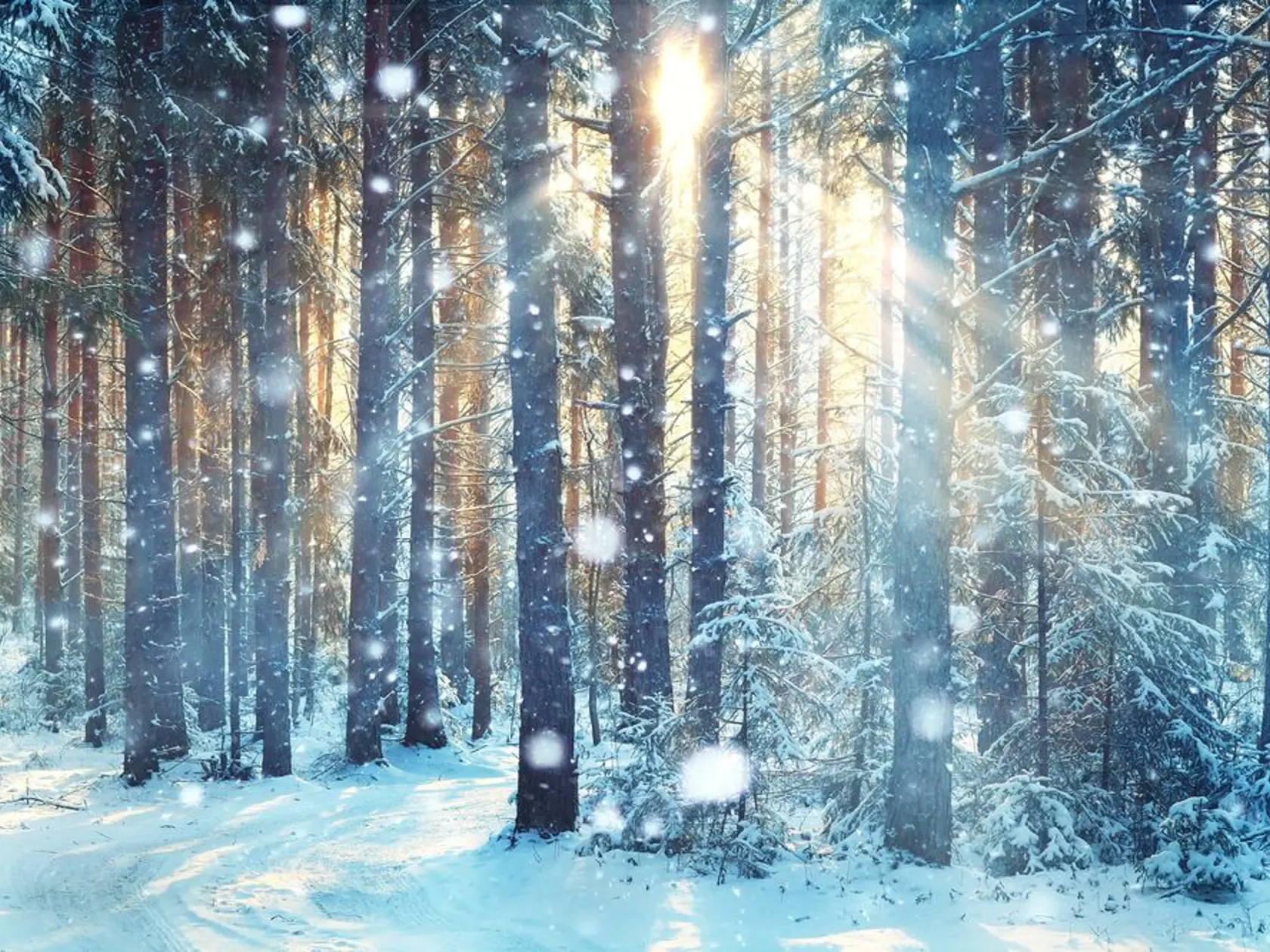 Čo vás čaká v decembri?