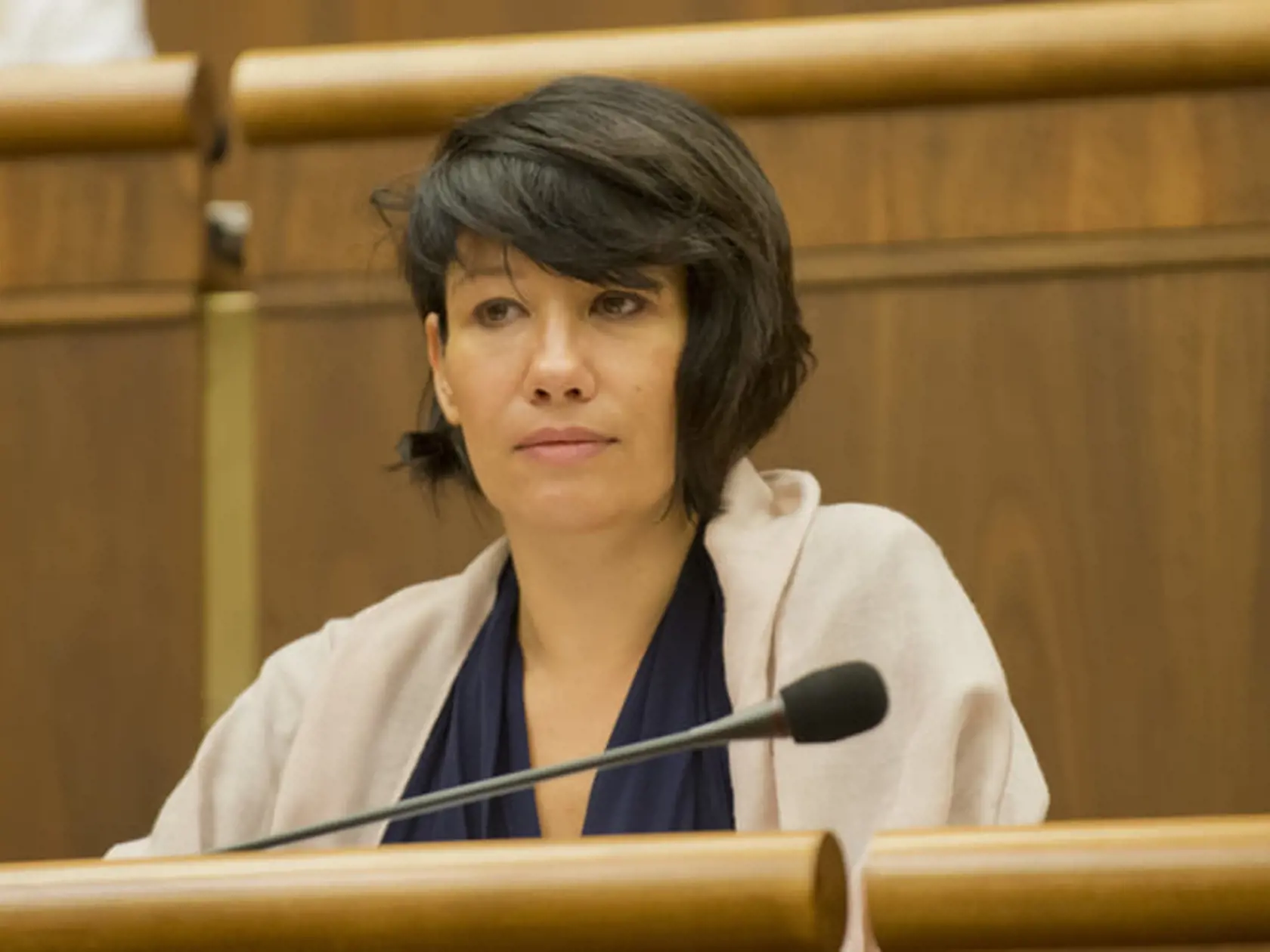 Podpredsedníčka parlamentu Lucia Nicholsonová