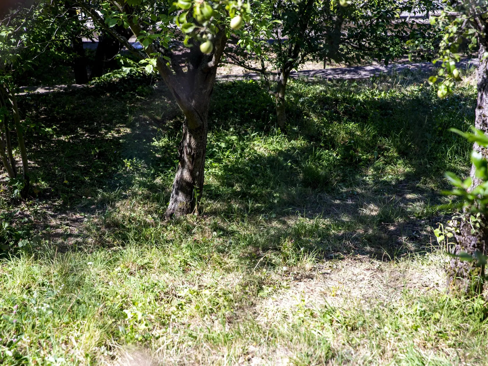 Miesto činu, kde sa muž chcel zbaviť mŕtvoly a následne spáchal samovraždu.