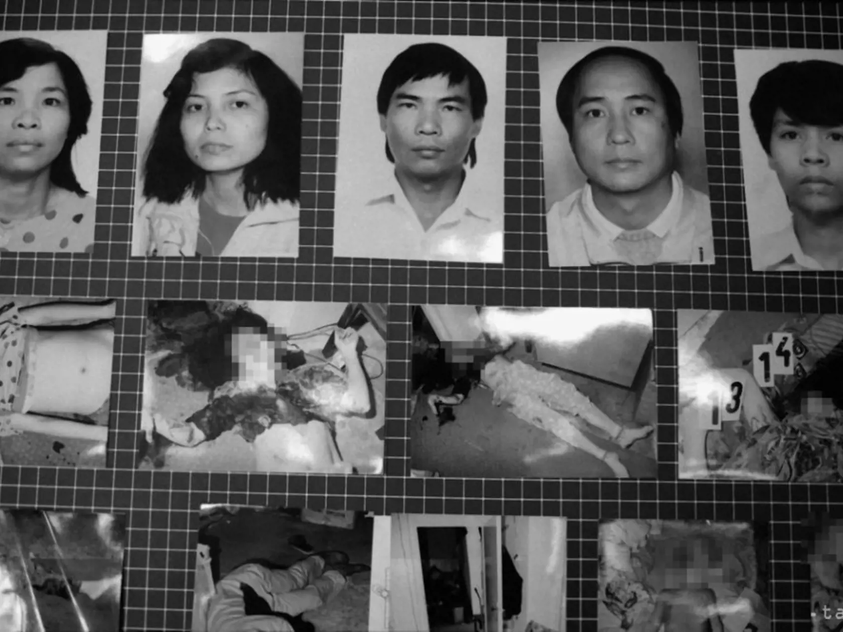 Zavraždení Vietnamci. Vrahovia konali mimoriadne brutálne. Nezľutovali sa ani nad osemmesačným dieťatkom v postielke. Vrah sa pri odchode vrátil, aby na neho hodil perinku a bábätko sa udusilo. Pritom sa chytil zárubne, kde našli odtlačok jeho prstov. Inak by im kriminalisti nemali ako vraždu dokázať.