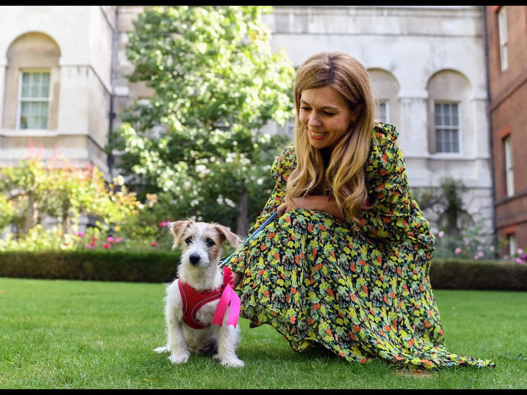 Britský premiér Boris Johnson a jeho priateľka Carrie Symondsová v pondelok oznámili, že si z útulku adoptovali šteniatko teriéra Jacka Russella.