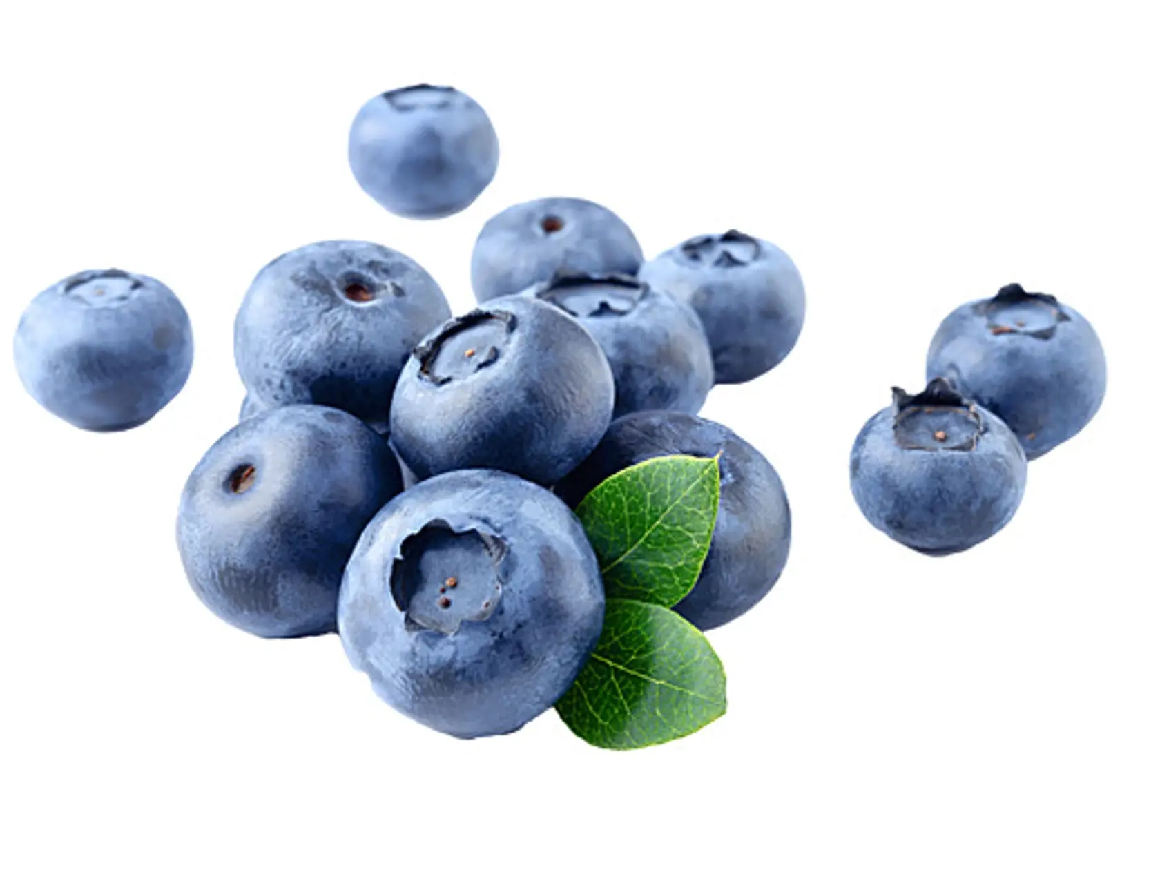 Čučoriedkové antioxidanty