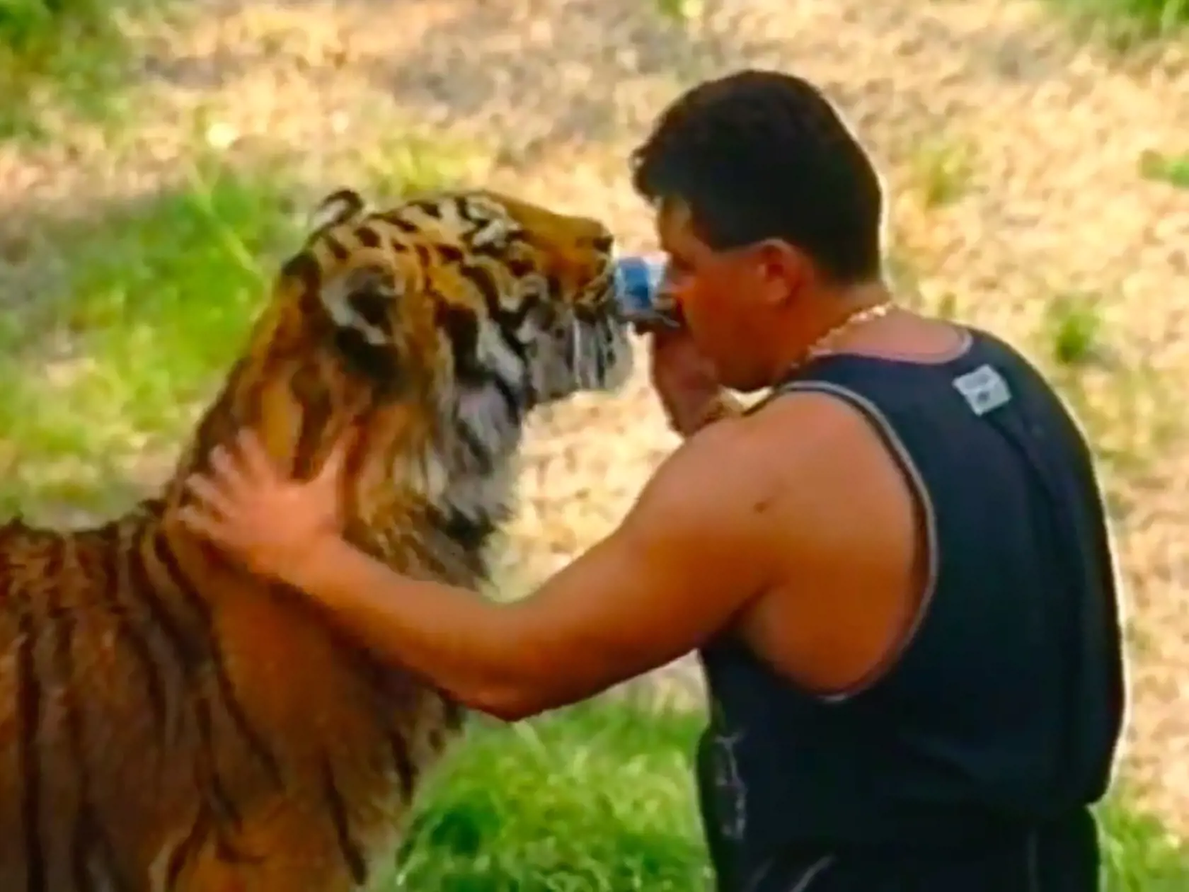 Mikuláš Černák a jeho tigre. Choval ich v čase, keď páchal svoje nejzávažnejšie zločiny. 