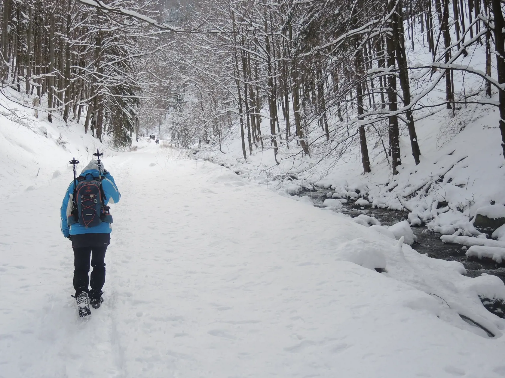 Na snímke turisti počas zimnej turistiky na trase Malá Fatra - Martinské hole. FOTO TASR - Erika Ďurčová,6. marec 2020, Martin