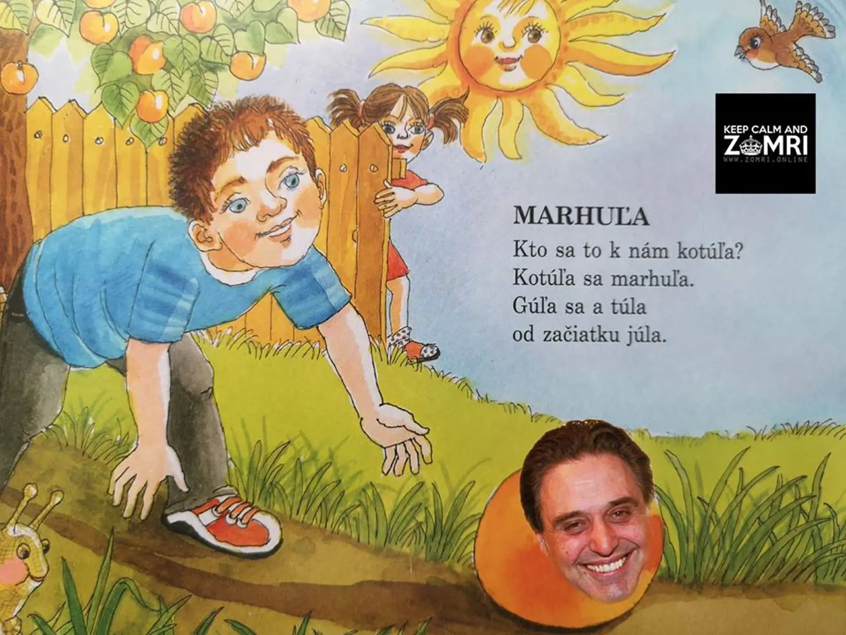 Kotúľa sa marhuľa...