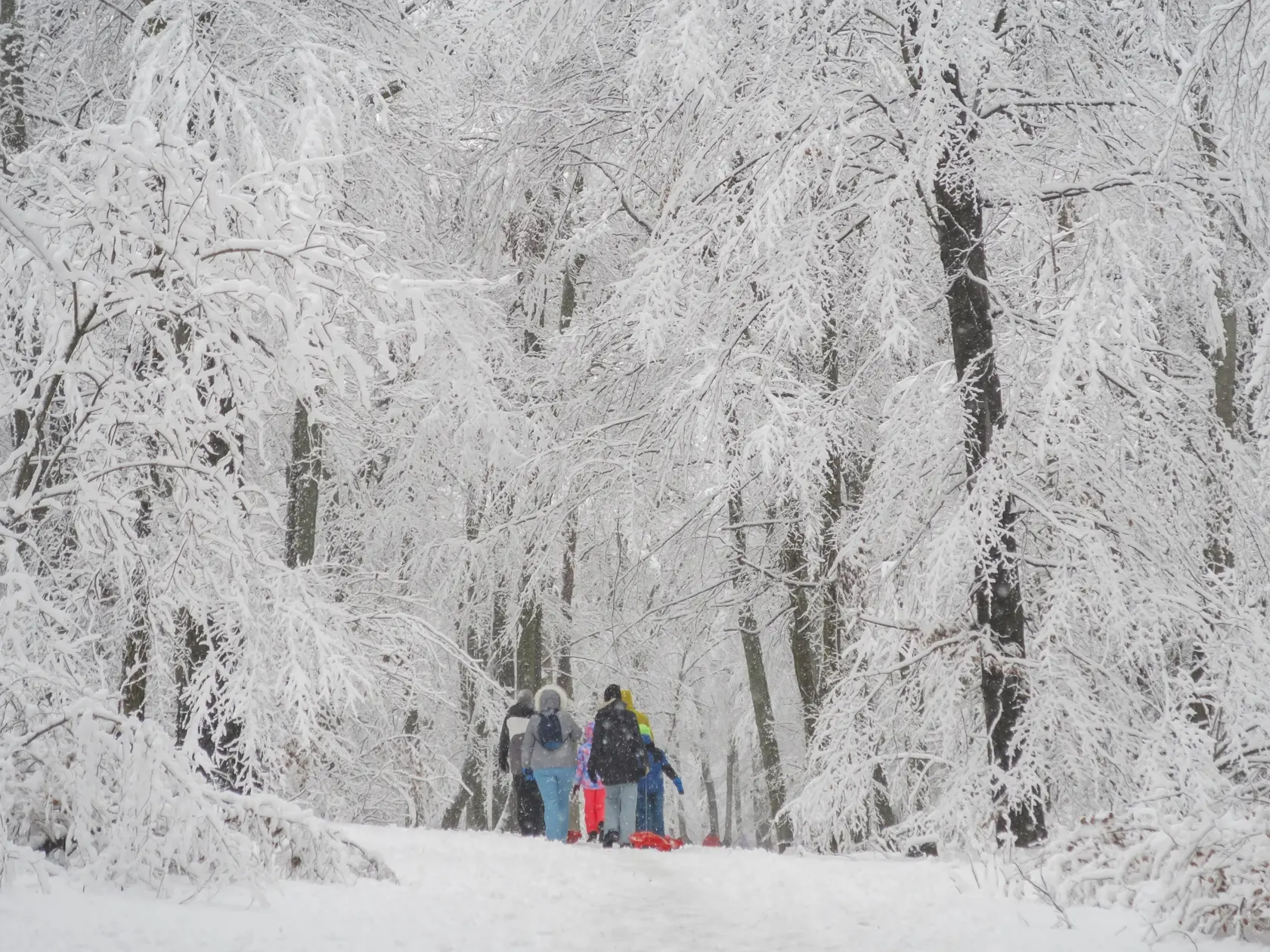 Na snímke ľudia kráčajú na snehu na bratislavskej Kolibe 23. decembra 2023. FOTO TASR - Jaroslav Novák