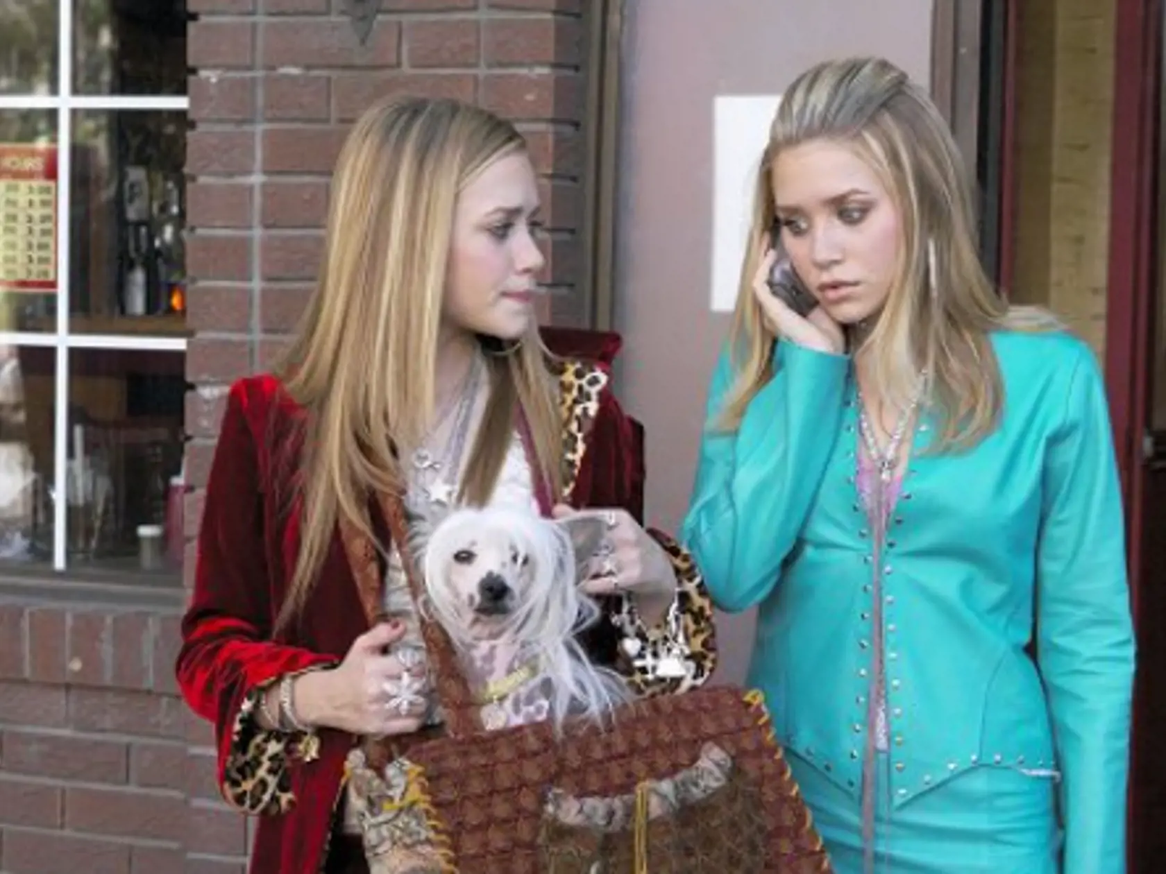 Olsen Twins: Jeden deň v New Yorku