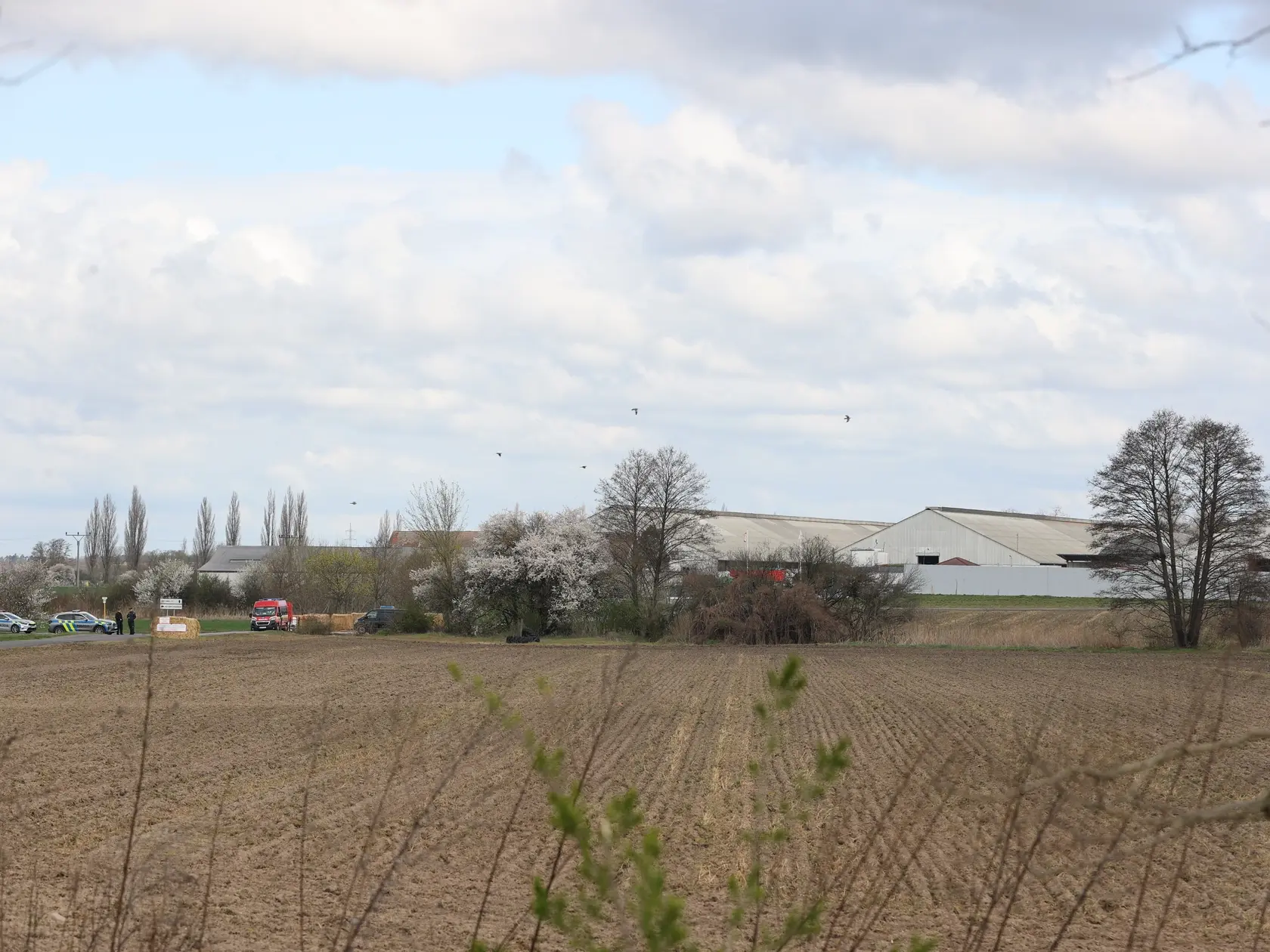 Na snímke farma FirstFarms v Plaveckom Štvrtku, kde sa  vyskytla krívačka a slintačka.