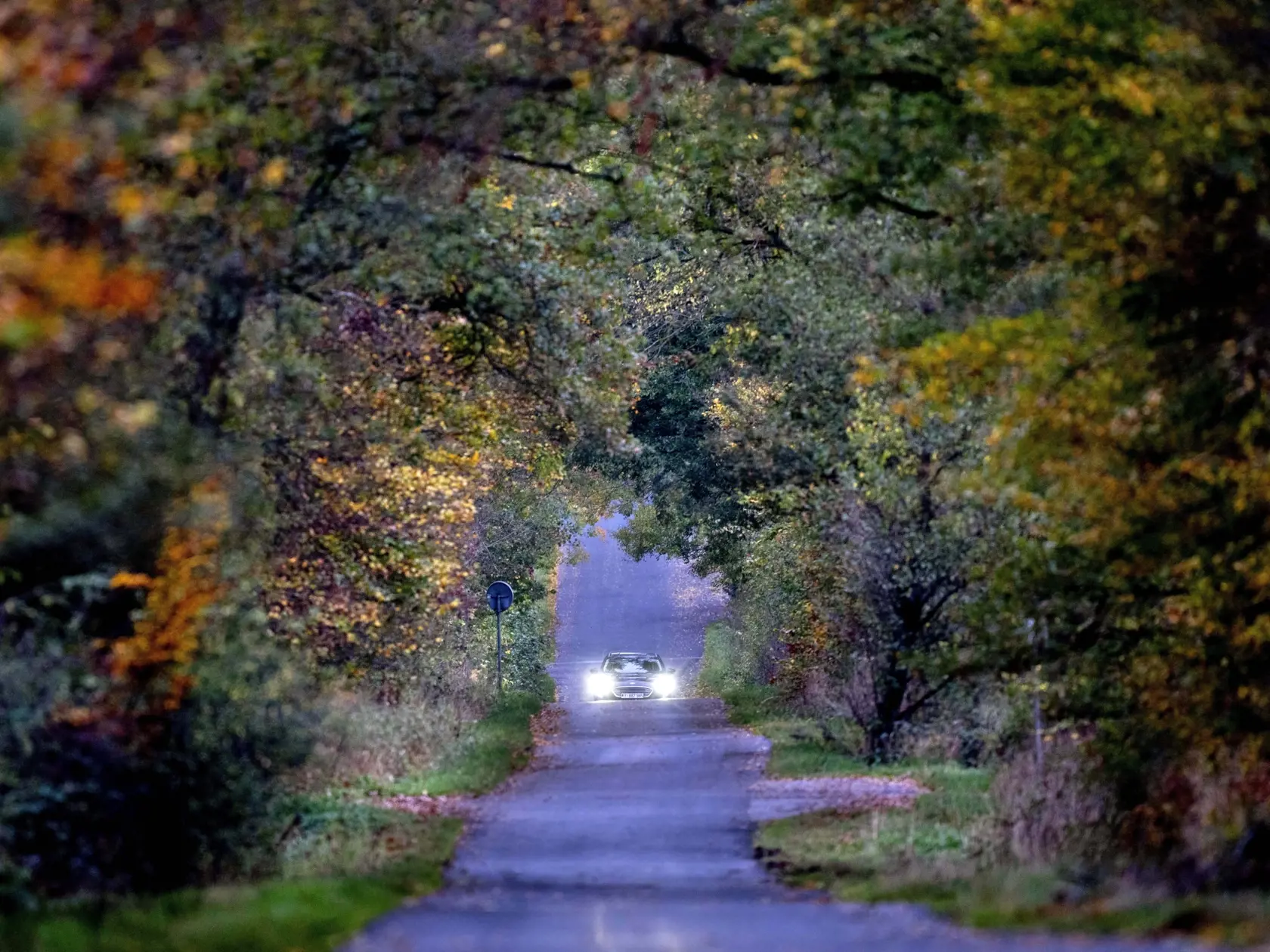 Cesta na dovolenku.