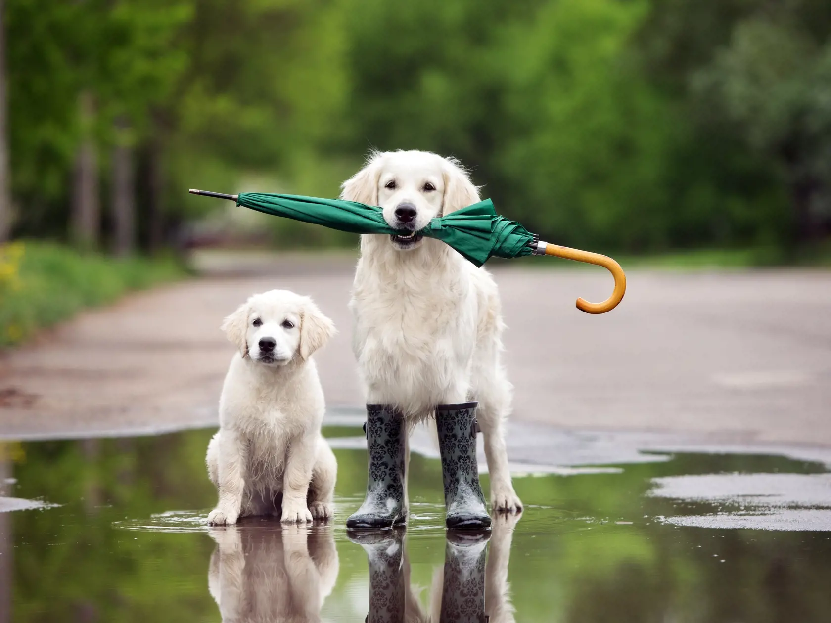 Ilustračná fotografia - počasie