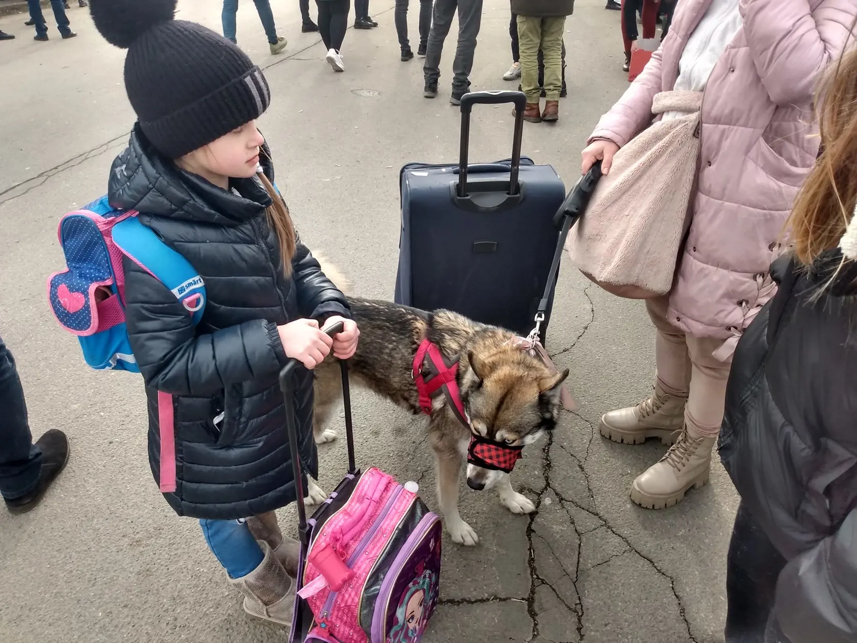 Smutný je pohľad najmä na skľúčení a unavené deti, ktoré namiesto sedenia v škole odchádzajú so svojimi rodičmi často do neznáma.
