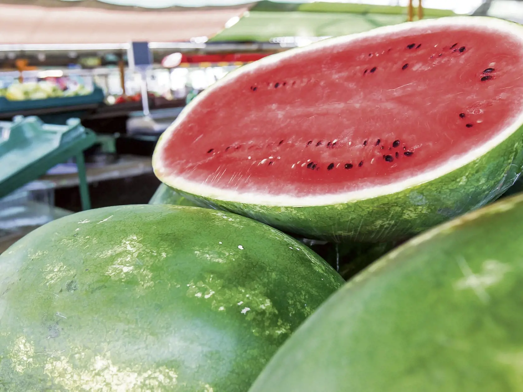 Vodový melón