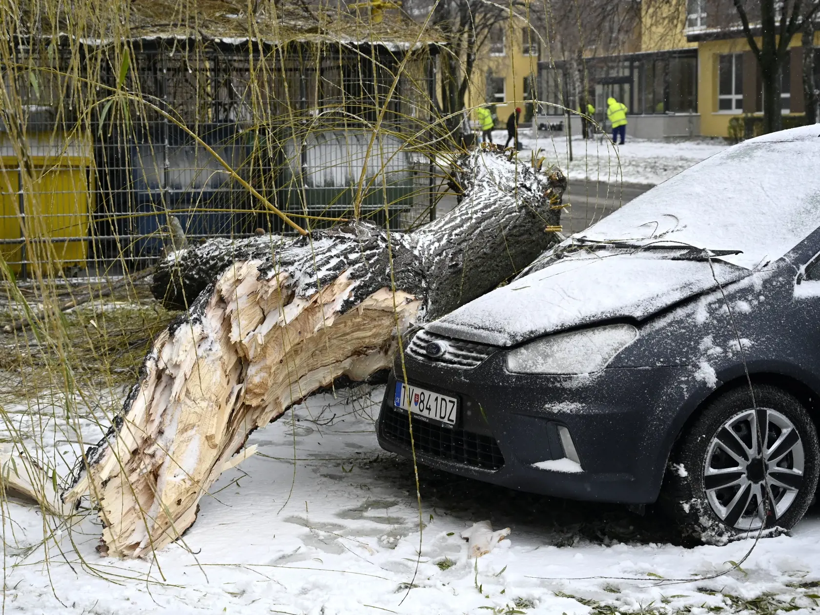 Na snímke spadnutý strom na Komenského ulici v Trebišove, ktorý poškodil zaparkované automobily a kontajnerové stojisko 11. decembra 2022.