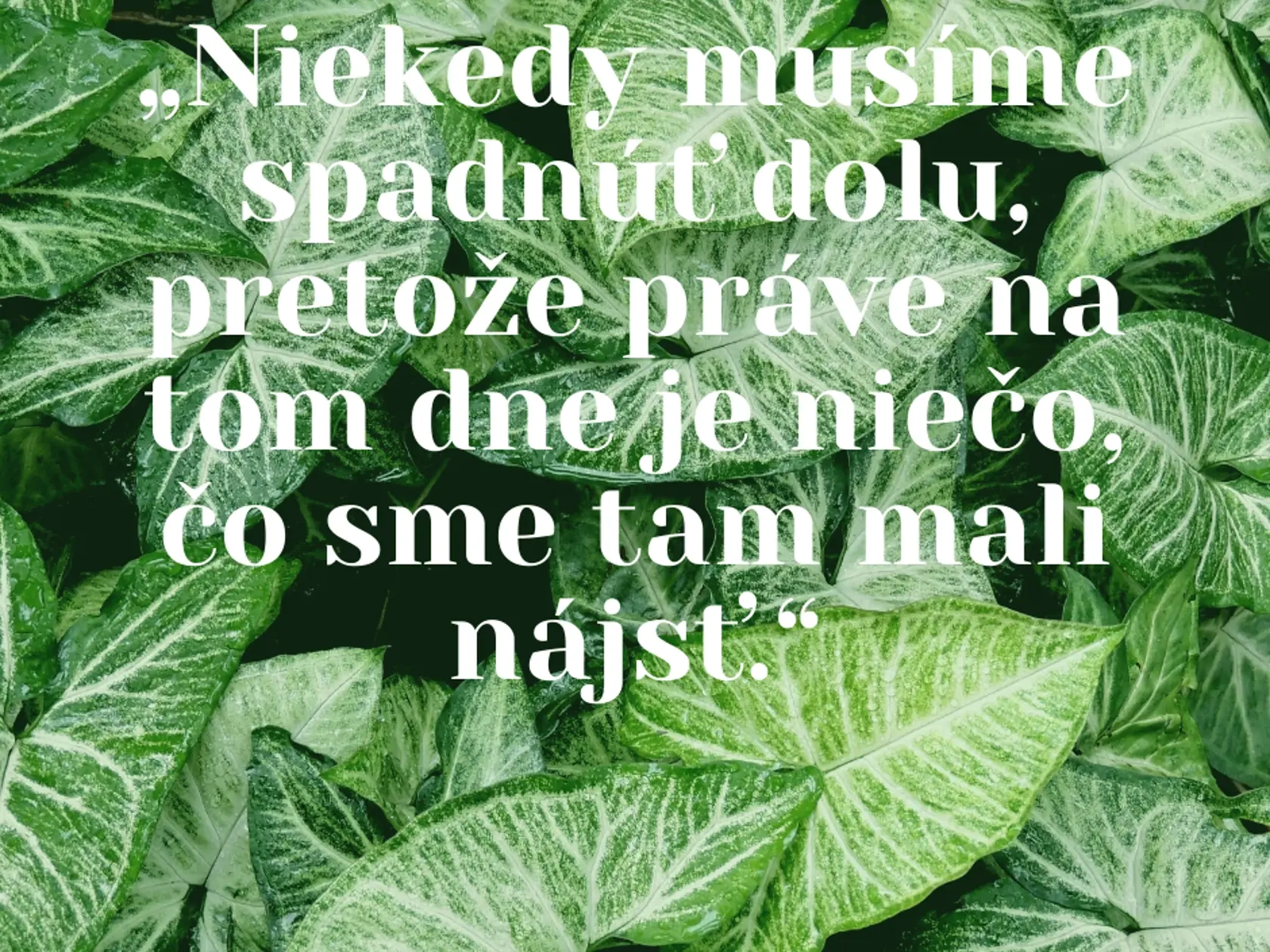 Citát