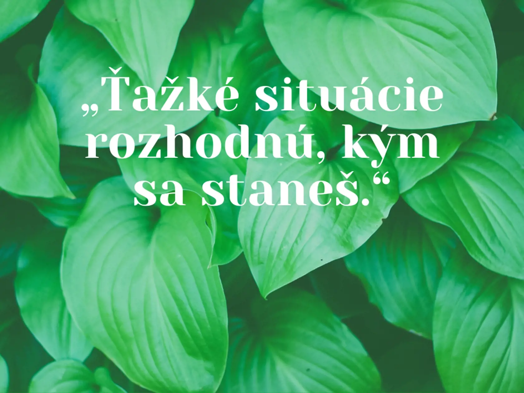 Citát
