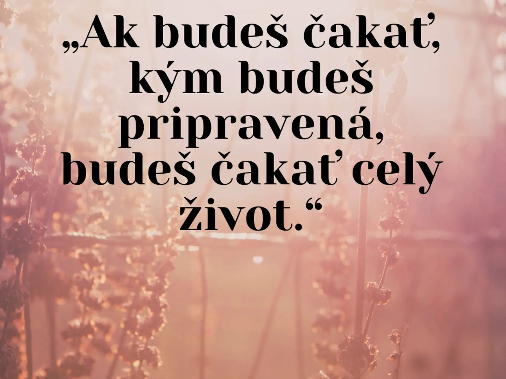 Citát