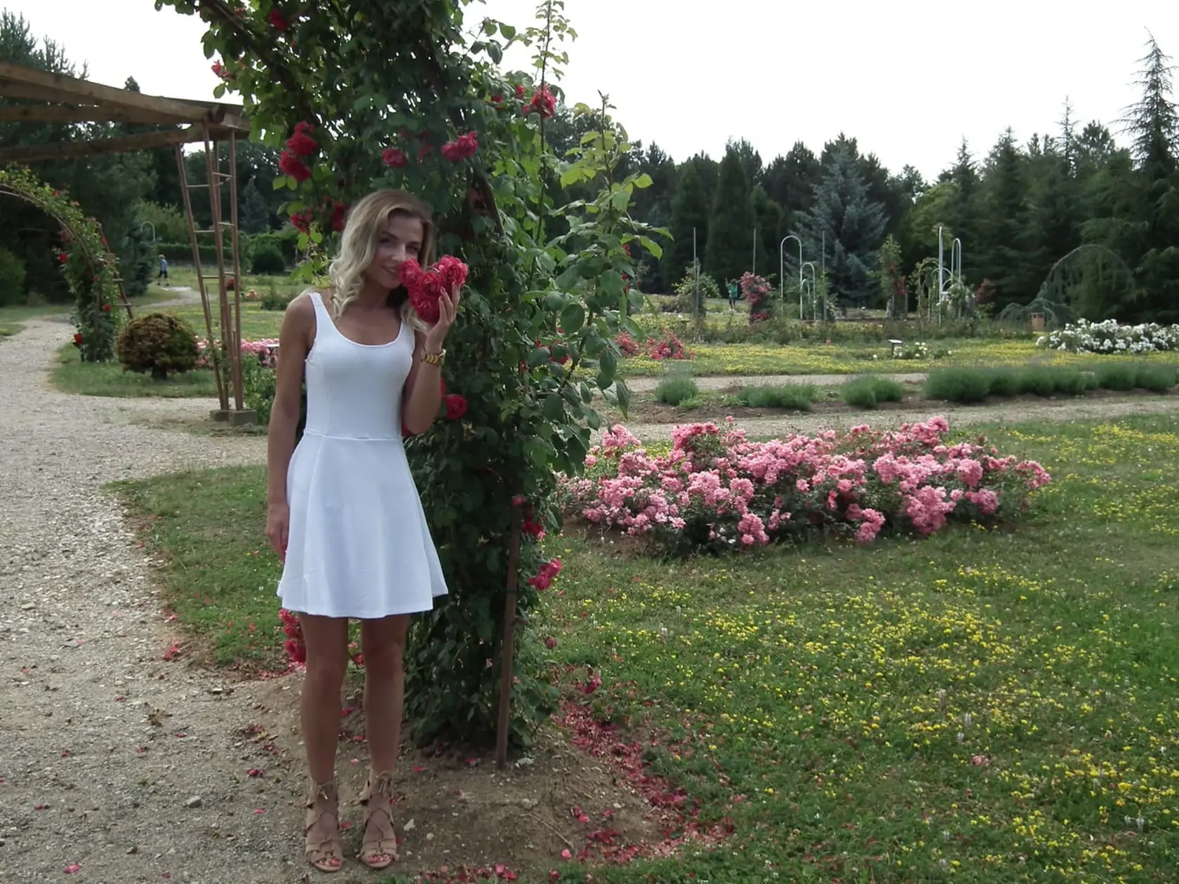 Dominantou rozária je pergola, okolo ktorej sú rozmiestnené moderné odrody ruží. „Ruže sú v Arboréte nielen krásne, ale aj nádherne voňajú,“ prezradila Martina Čiffáryová z Vinodolu.