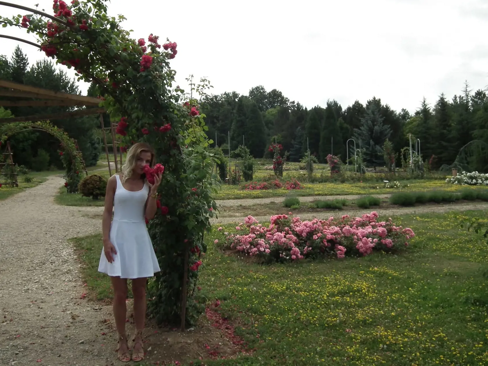 Dominantou rozária je pergola, okolo ktorej sú rozmiestnené moderné odrody ruží. „Ruže sú v Arboréte nielen krásne, ale aj nádherne voňajú,“ prezradila Martina Čiffáryová z Vinodolu.