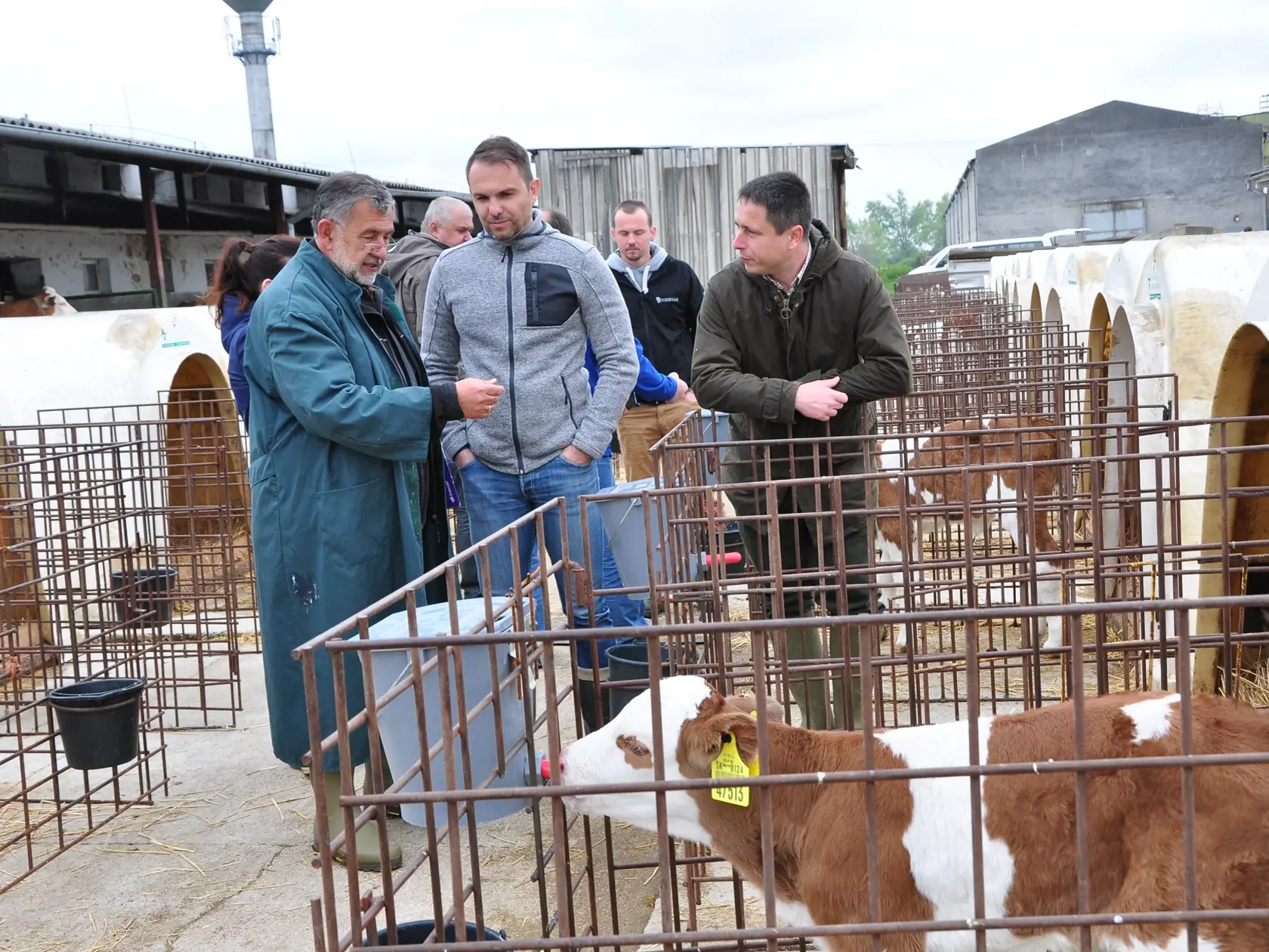 Mnoho chovov na Slovensku skončilo kvôli mliečnej kríze, začali sa k nám dovážať lacnejšie výrobky z dovozu.