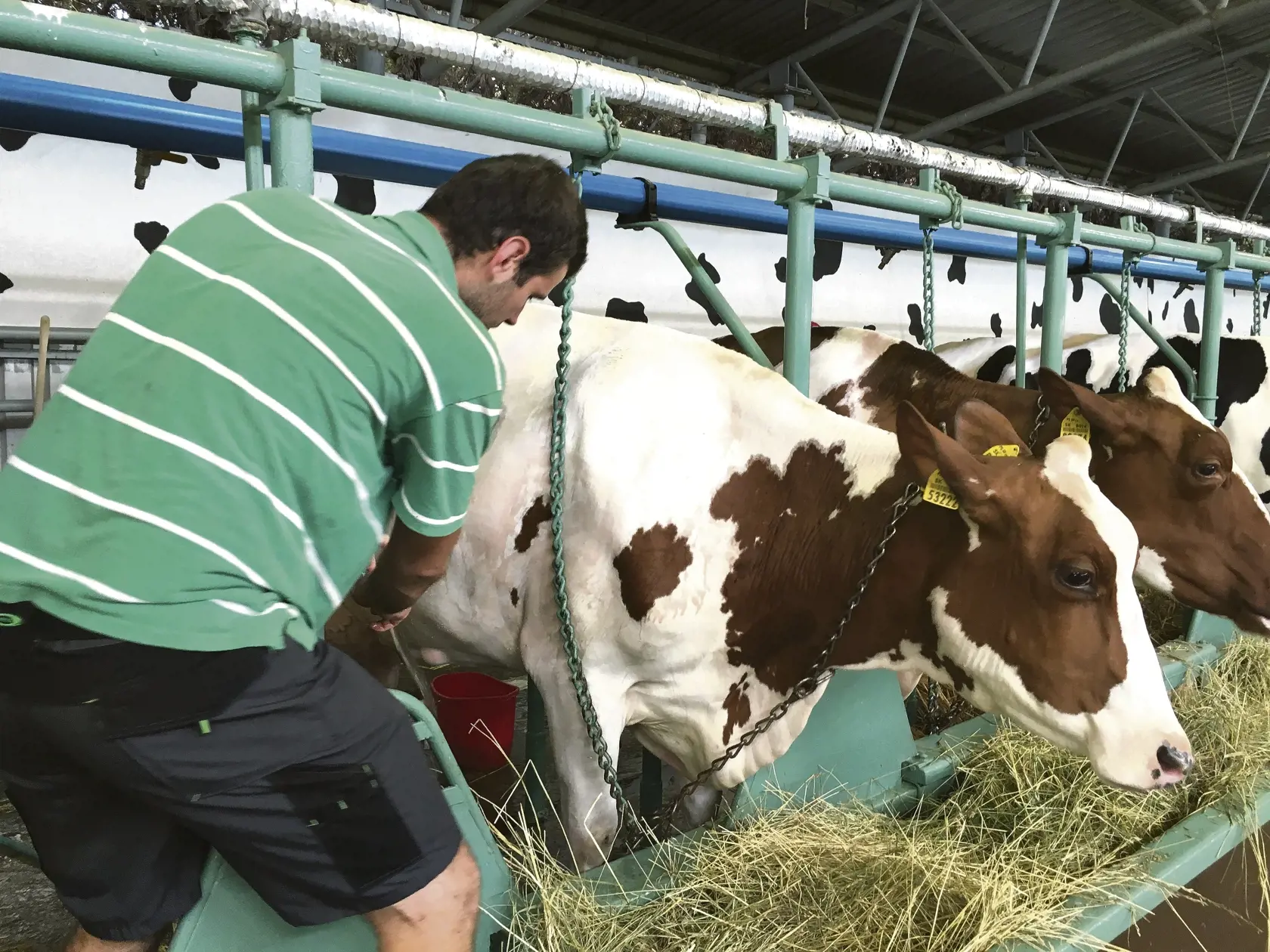 Farmári dostávajú dotácie od rezortu pôdohospodárstva, inak by prežili len ťažko.