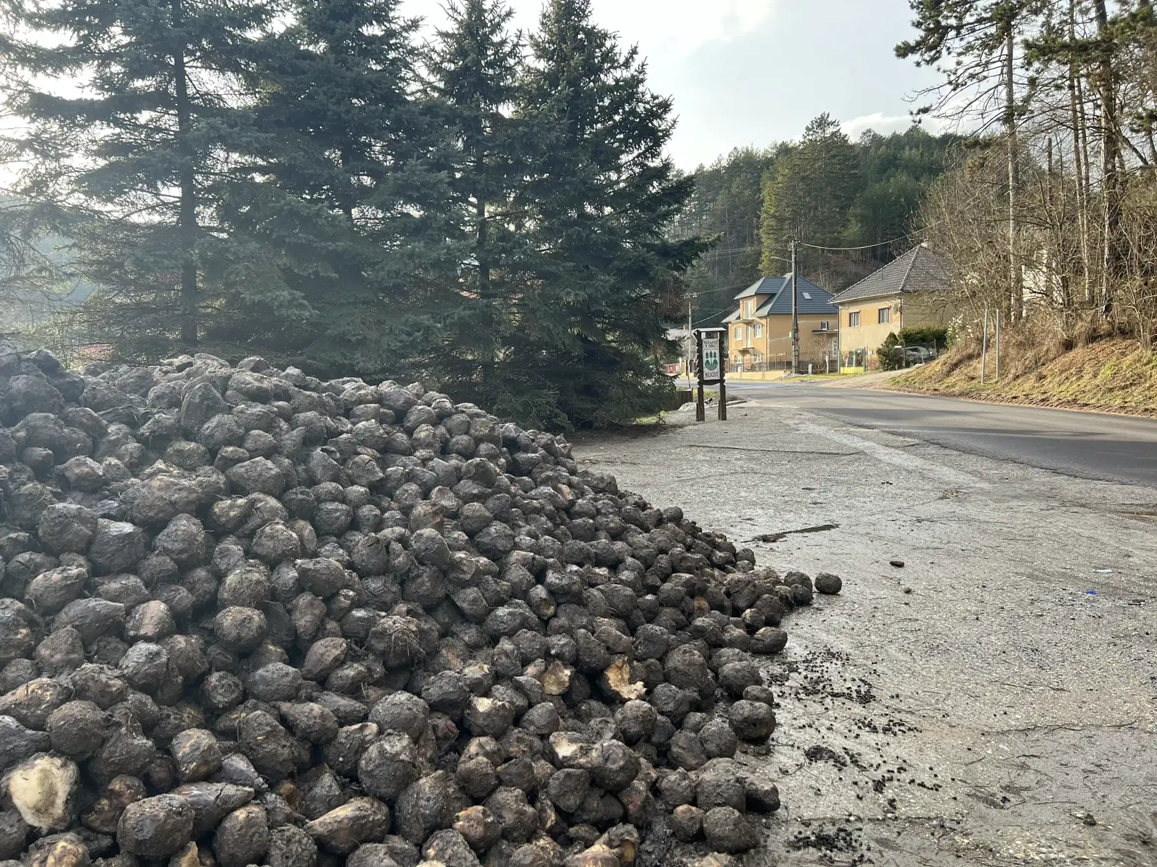 “Boli sme zhrození o to viac, že tieto tony krmiva sú v tesnej blízkosti náučného turistického chodníka. V blízkosti krmiva sme tu tiež natrafili na viacero stôp od medveďov ako aj od ďalšej zvery. Je to veľmi rizikové pre turistov, ak miestni poľovníci kŕmia medvede na takomto mieste,” vysvetľuje.