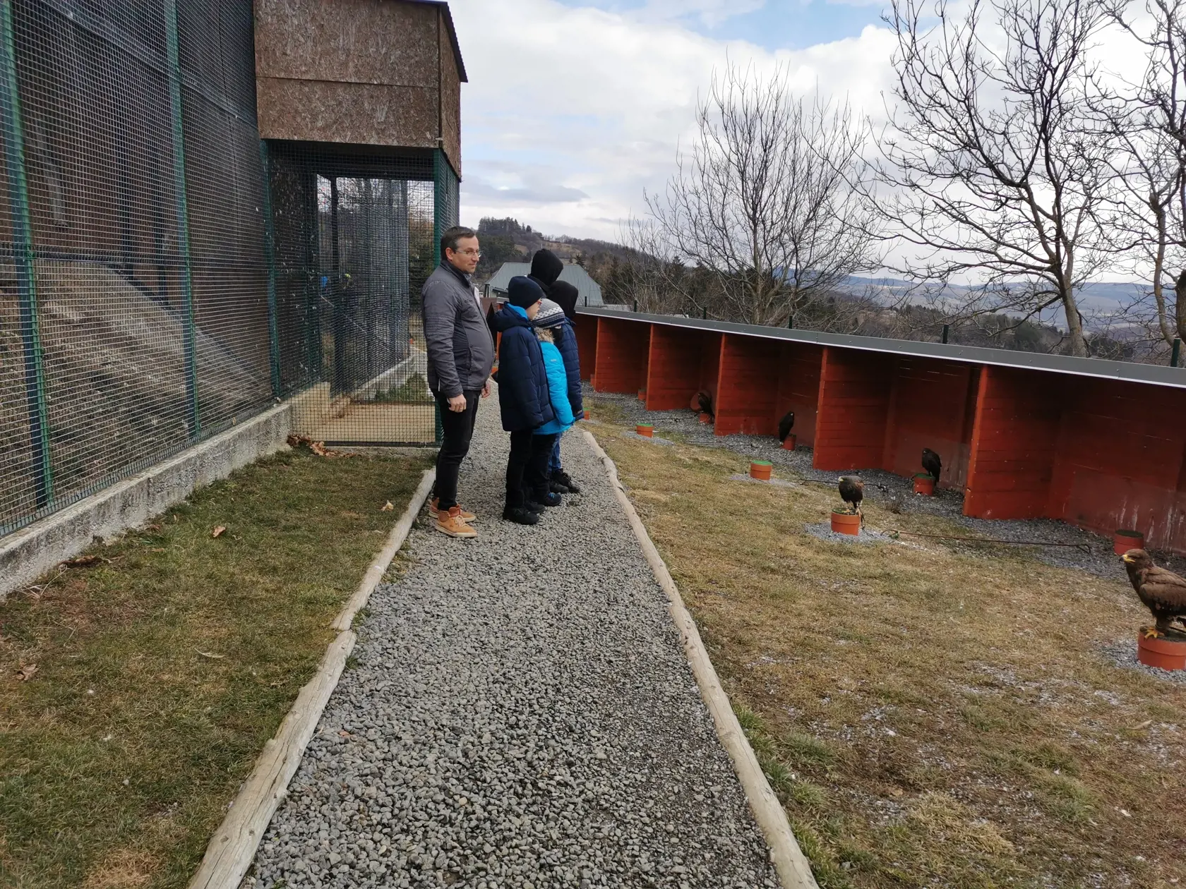 Detským utečencom sa páčili aj dravce, o ktorých sa v škole starajú.