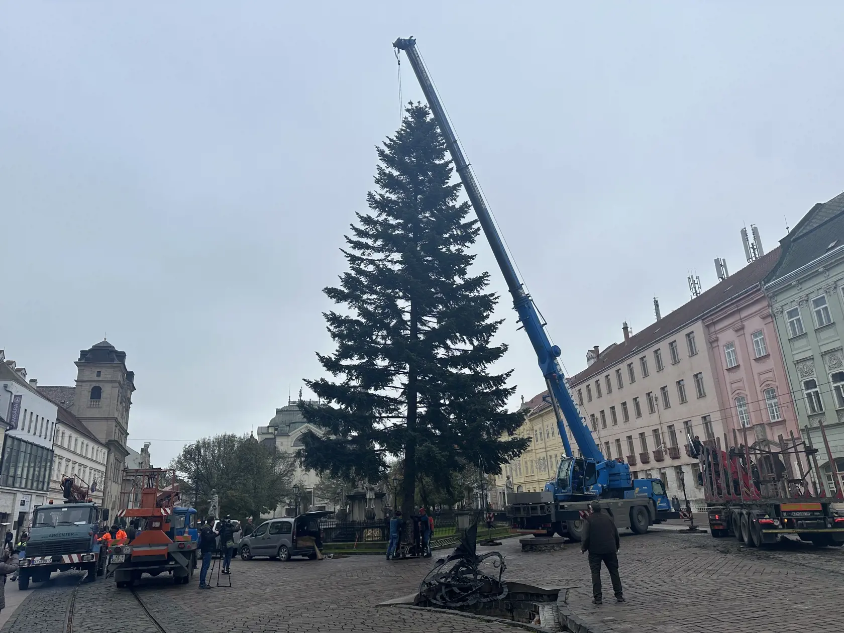 Viac ako dvadsaťpäť kilometrov dlhú cestu zvládol na výbornú! Košický vianočný stromček pre tohtoročné Vianoce osadili v utorok (21.11.) na jeho tradičnom mieste - pri súsoší Immaculata na Hlavnej ulici.