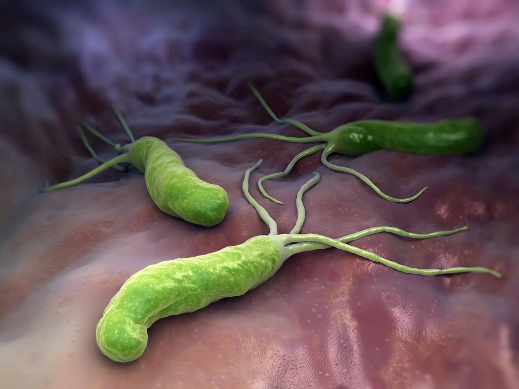 Odolnosť baktérií na antibiotiká je vážnou hrozbou budúcnosti.