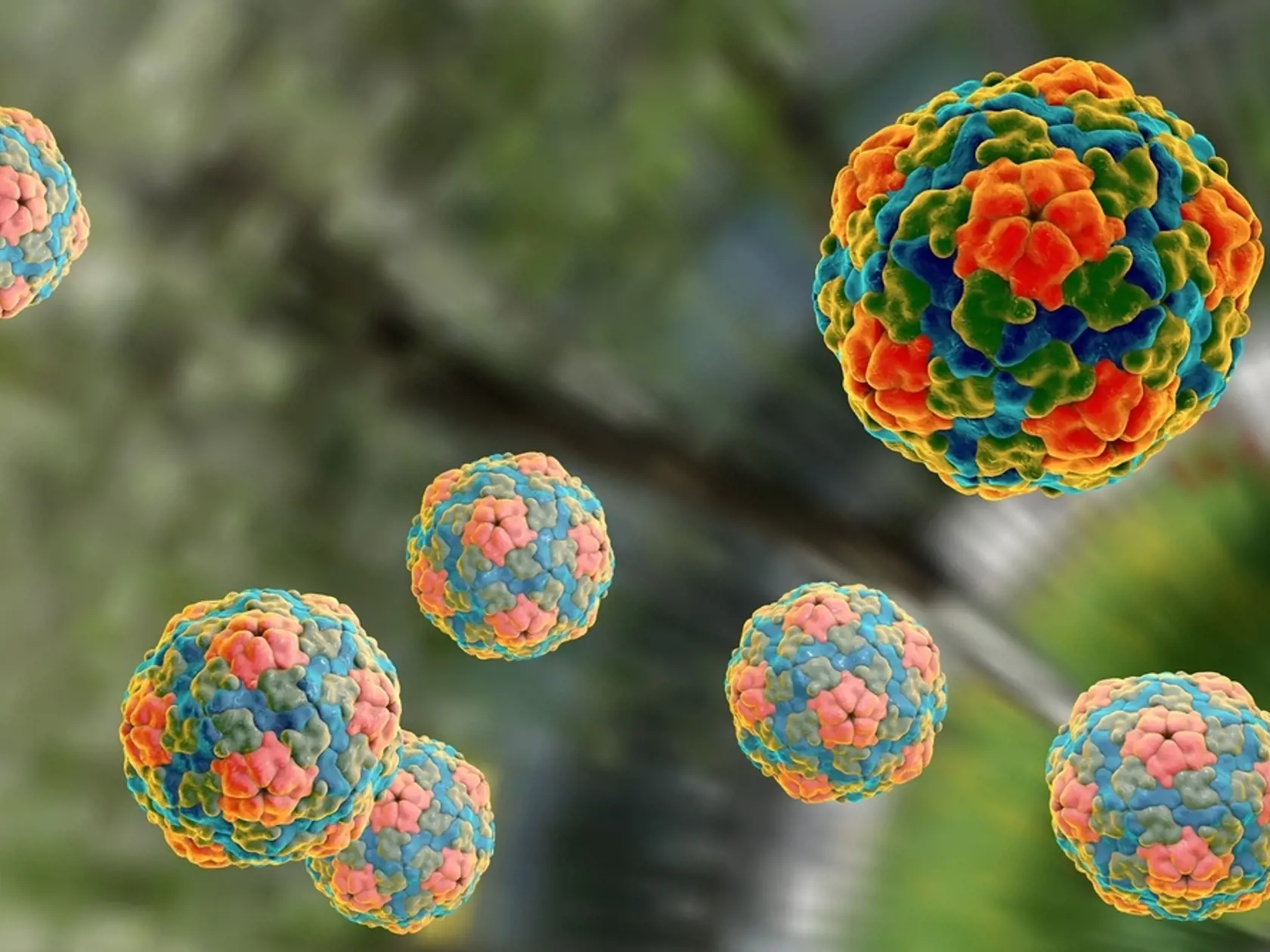 Hepatitída B a C sa spája s chronickým zápalom pečene, môže prerásť do rakoviny. 