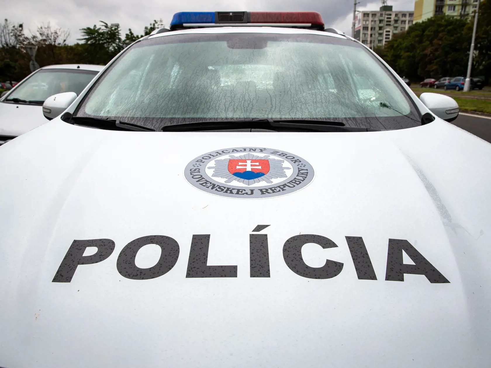 Následkom toho došlo k zrážke vozidla s chodcom. Muž pri dopravnej nehode utrpel zranenia nezlučiteľné so životom, ktorým, na mieste dopravnej nehody podľahol.